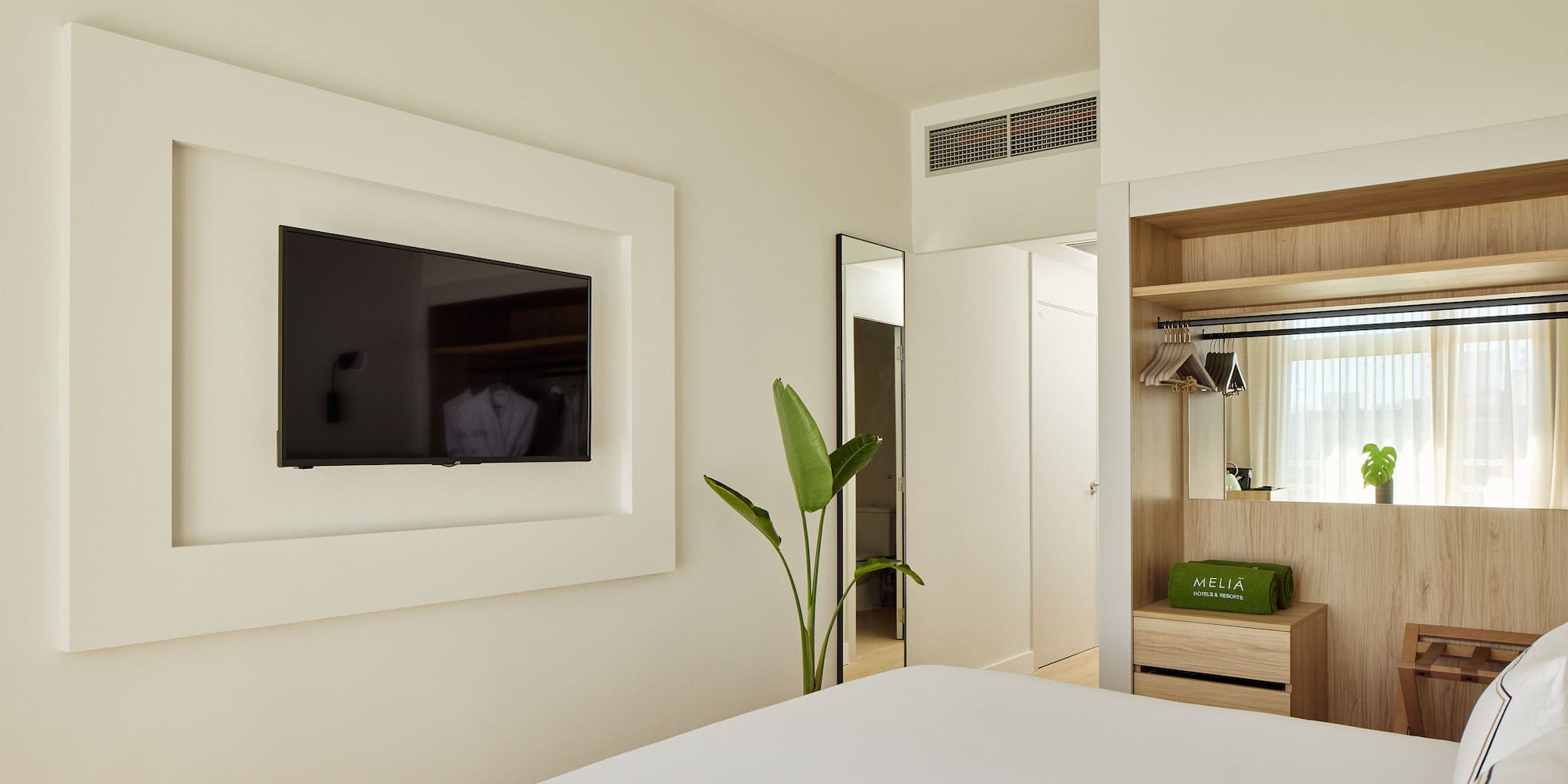 a room with a tv and a plant