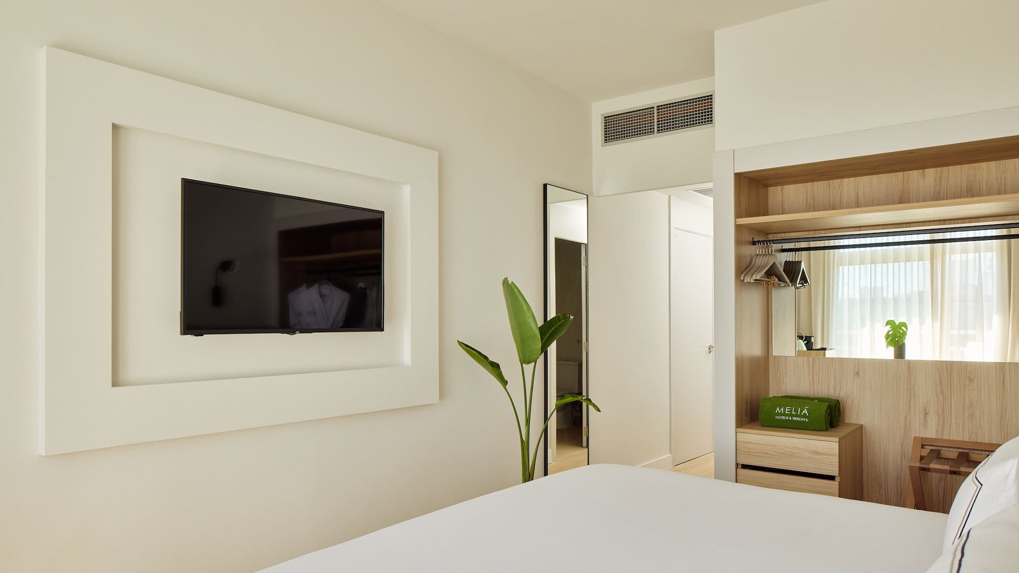 a room with a tv and a plant