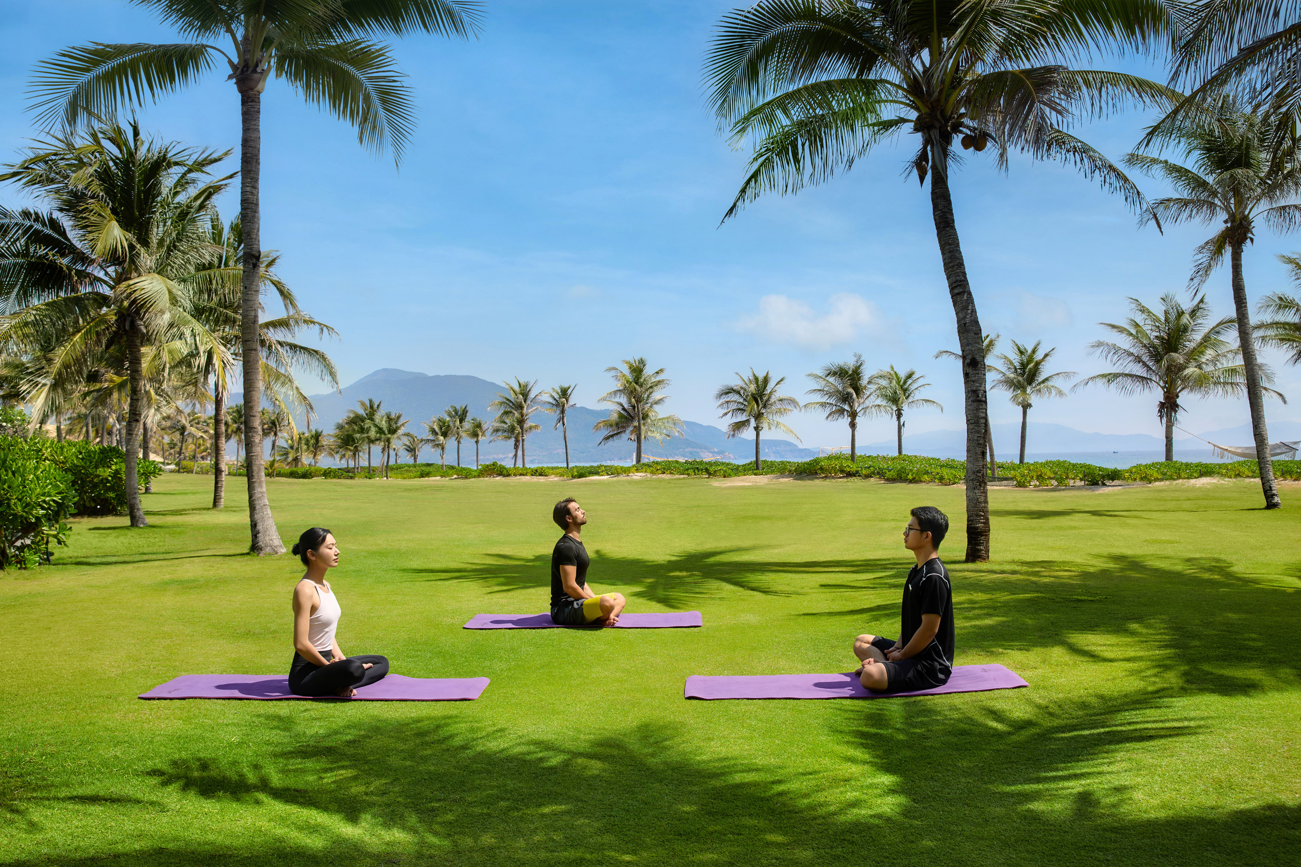 Three people doing yoga on mats outdoors, tropical palm trees, ocean, mountains.