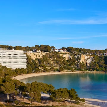a beach with trees and buildings on the side