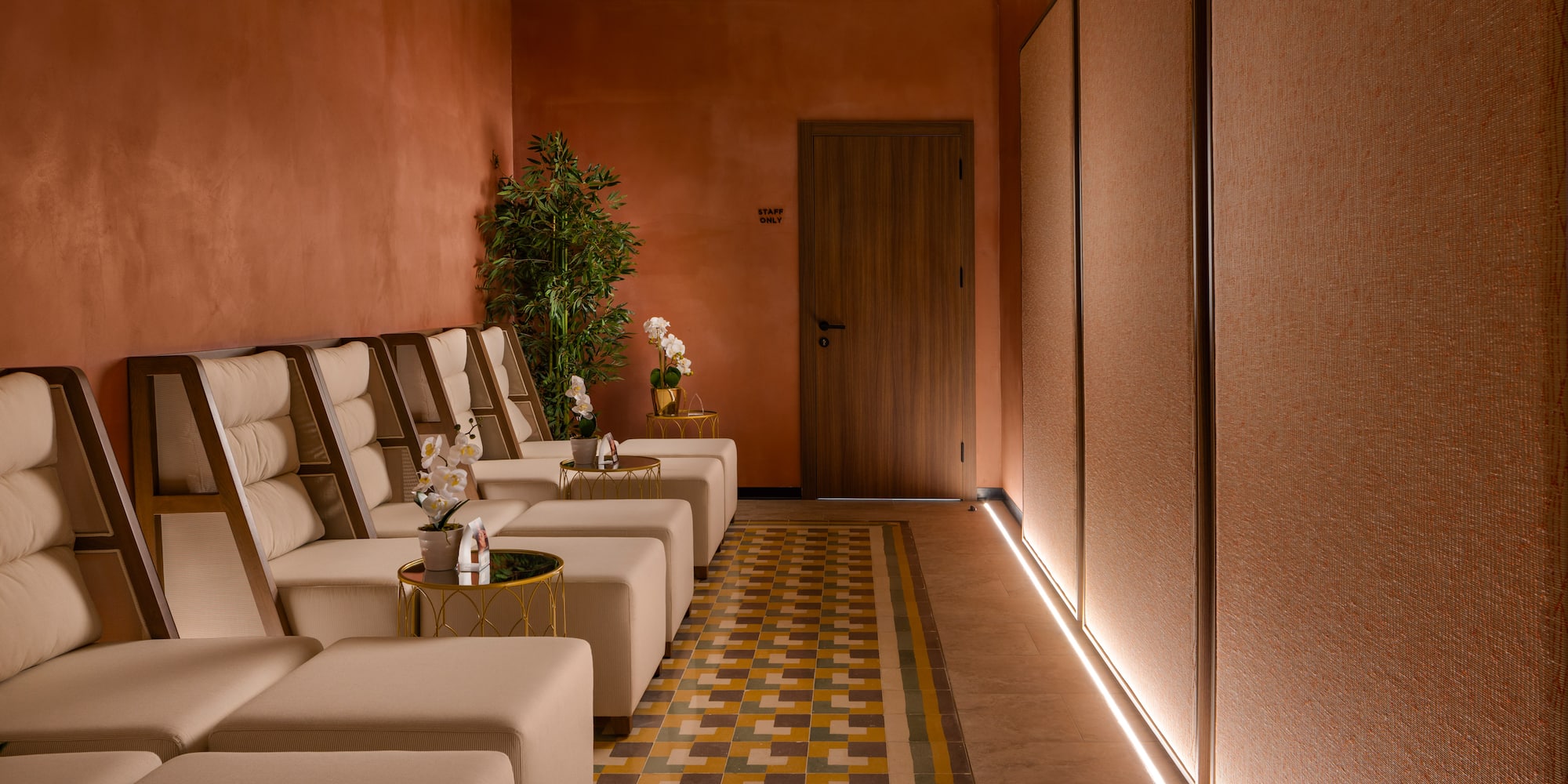 a room with white chairs and a plant