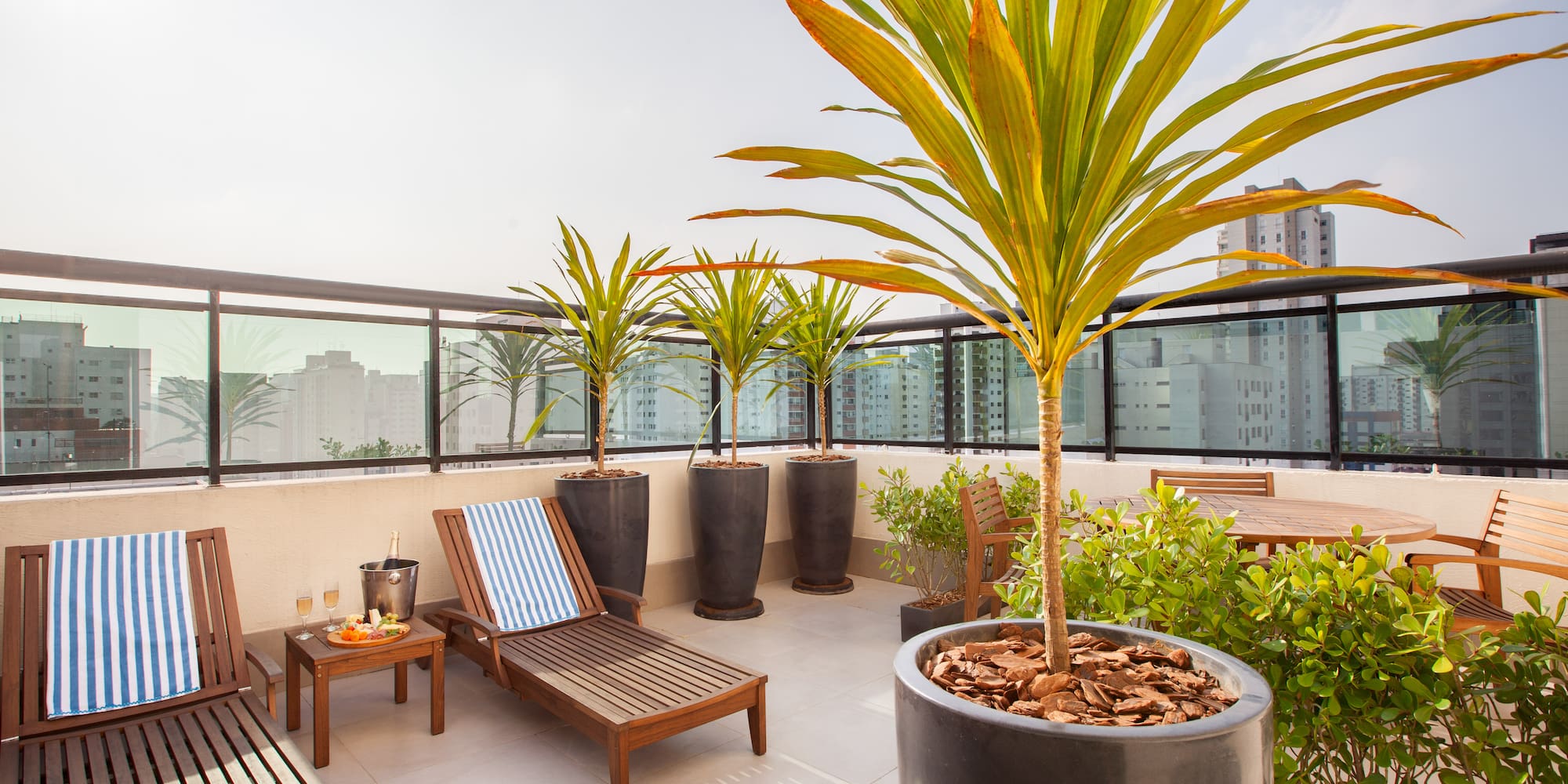 a patio with chairs and a palm tree