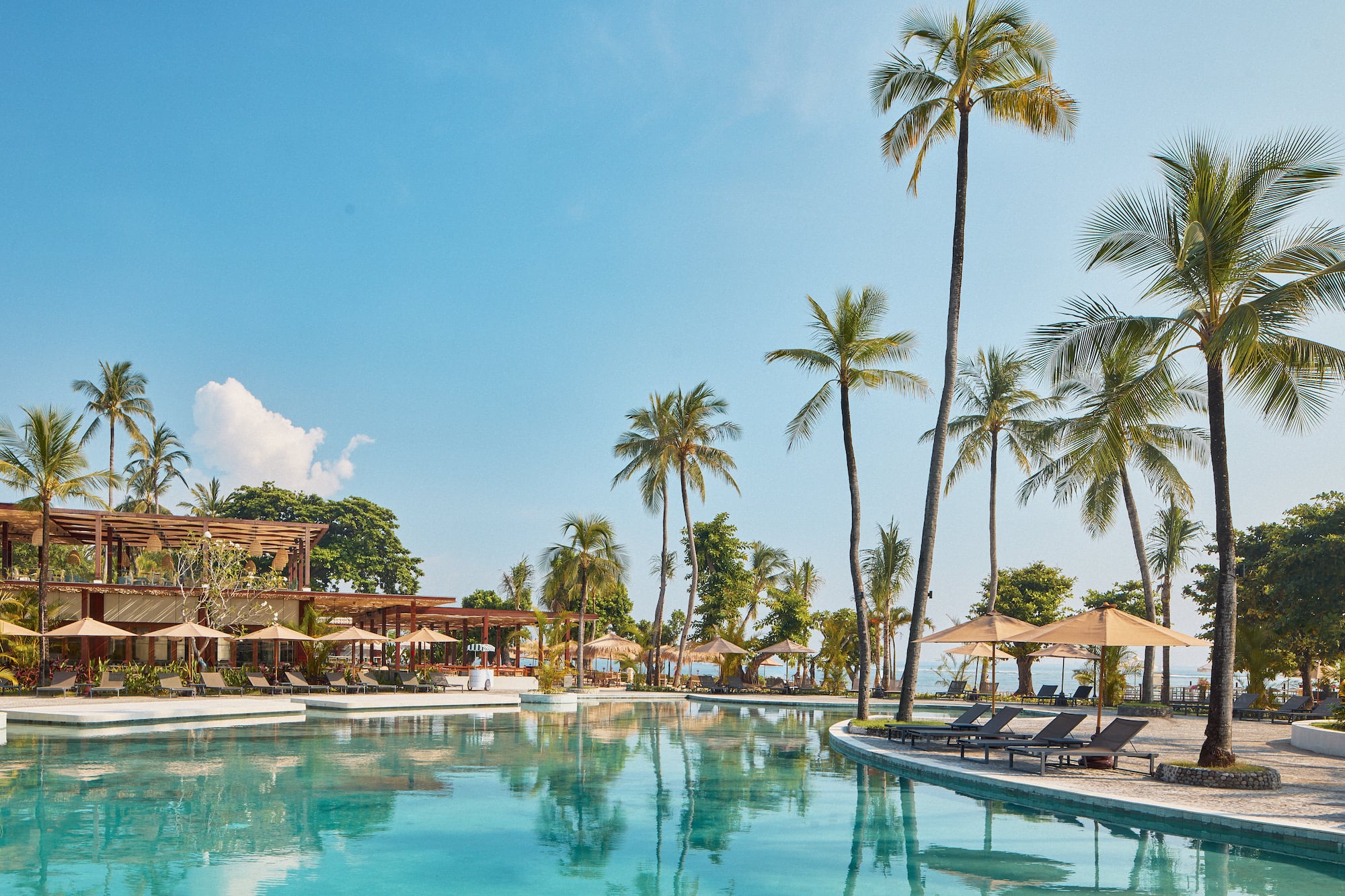a pool with lounge chairs and palm trees