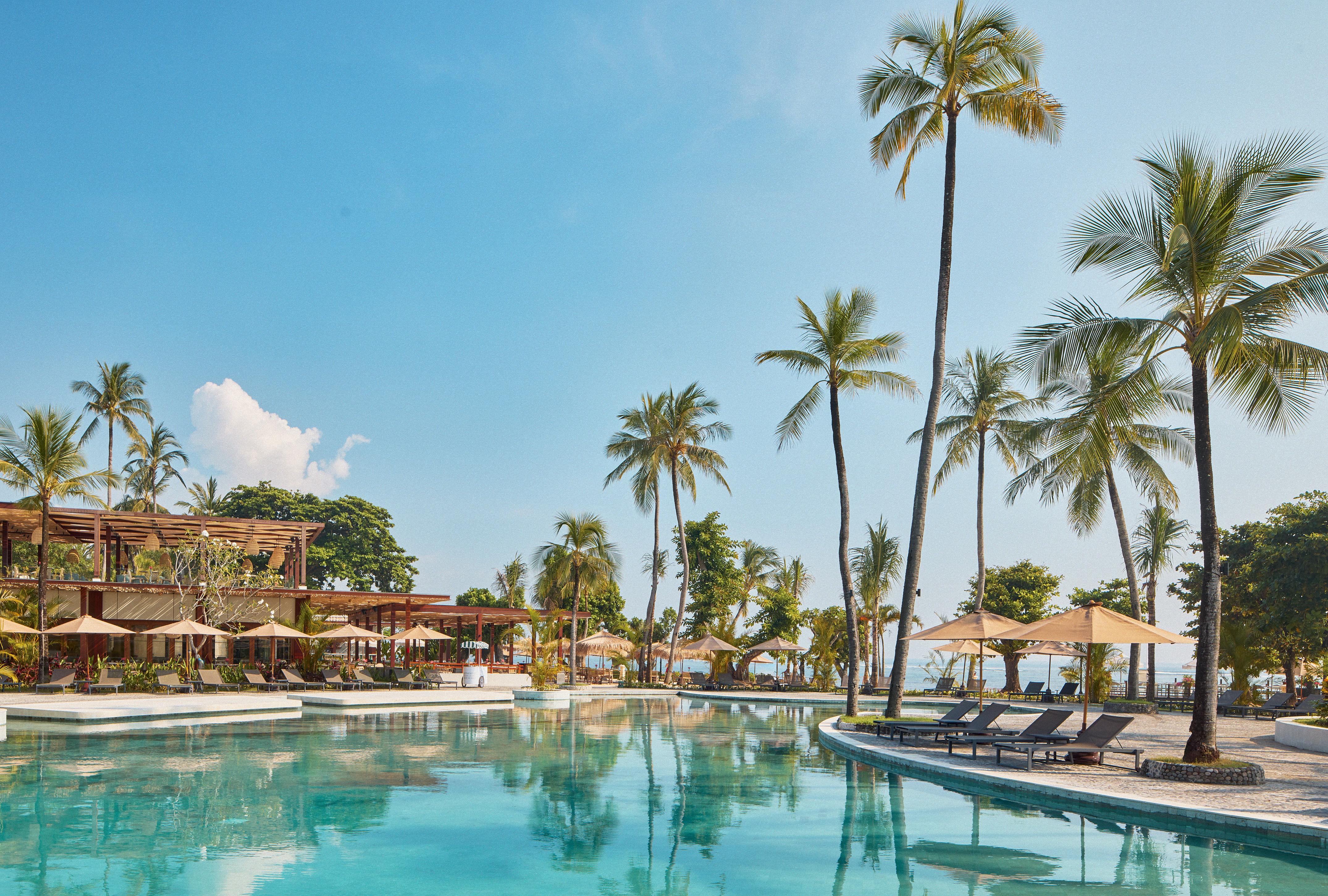 a pool with lounge chairs and palm trees