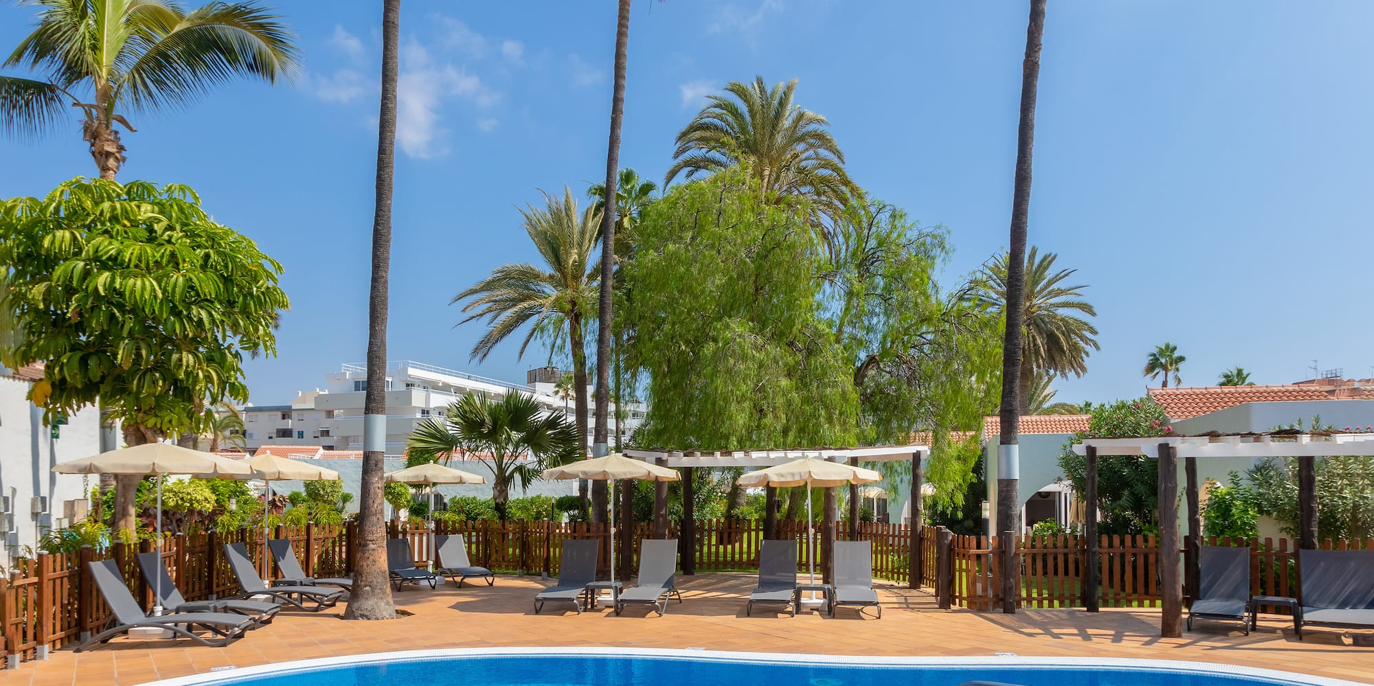 a hot tub with a pool and palm trees