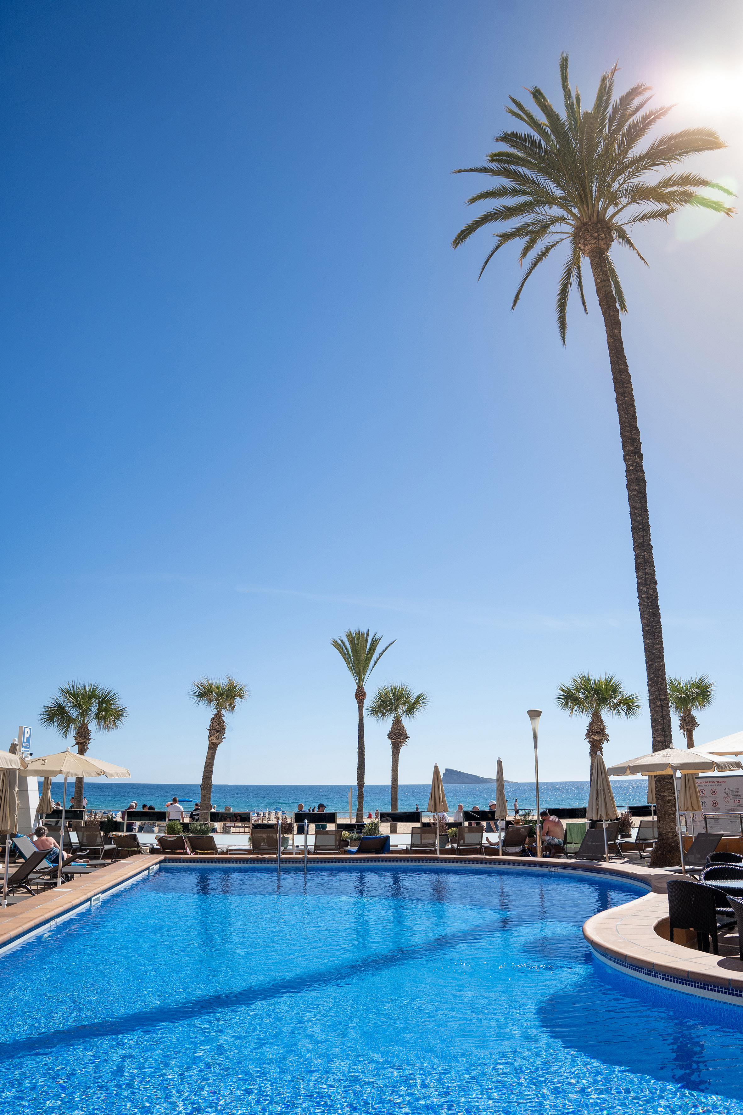 Sunny resort pool with palm trees, beach, and blue ocean view.