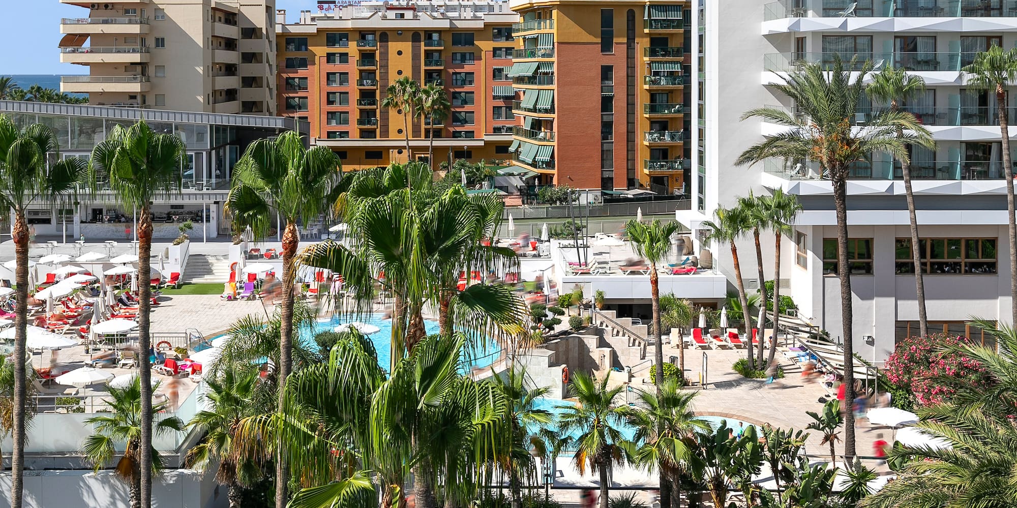 a pool and palm trees in front of buildings