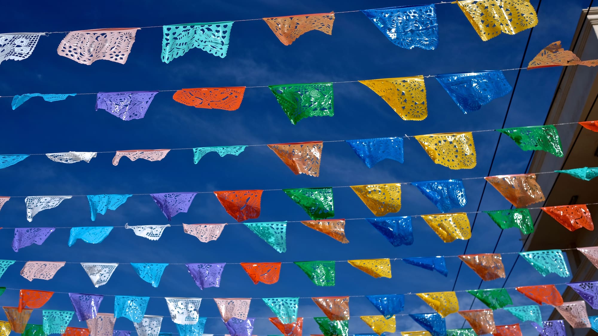 a group of colorful flags