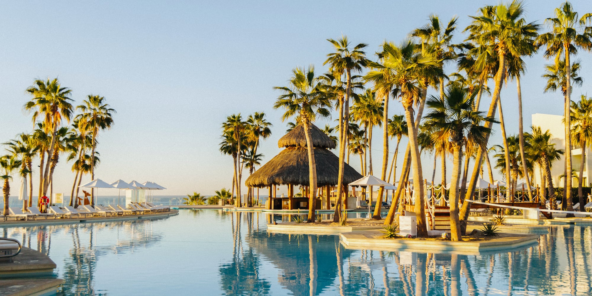a pool with palm trees and a hut