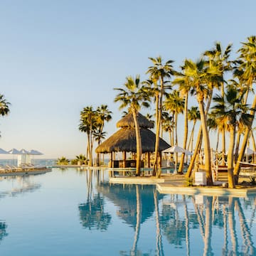 a pool with palm trees and a hut
