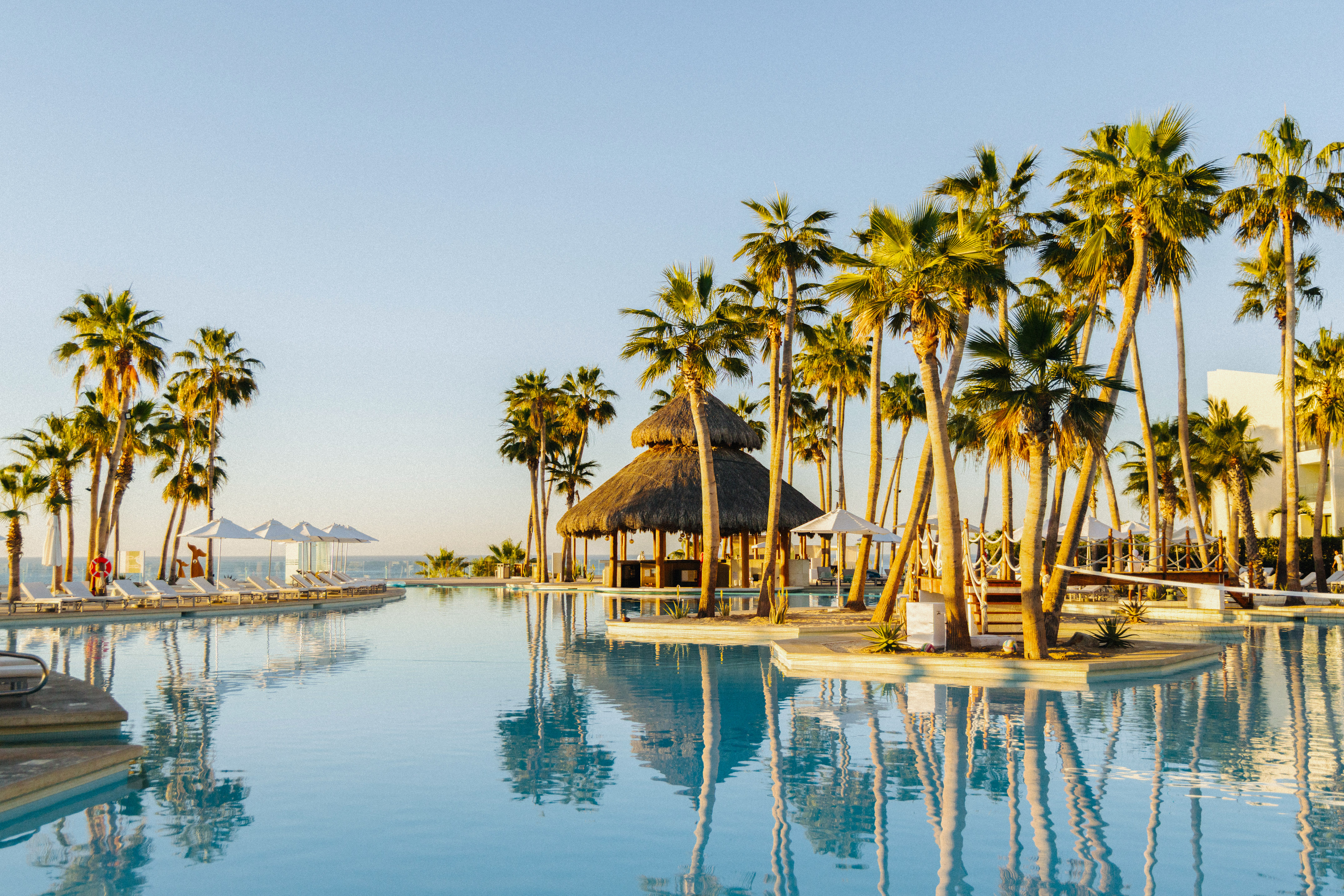Luxury resort infinity pool with palm trees, thatched bar, and ocean view.