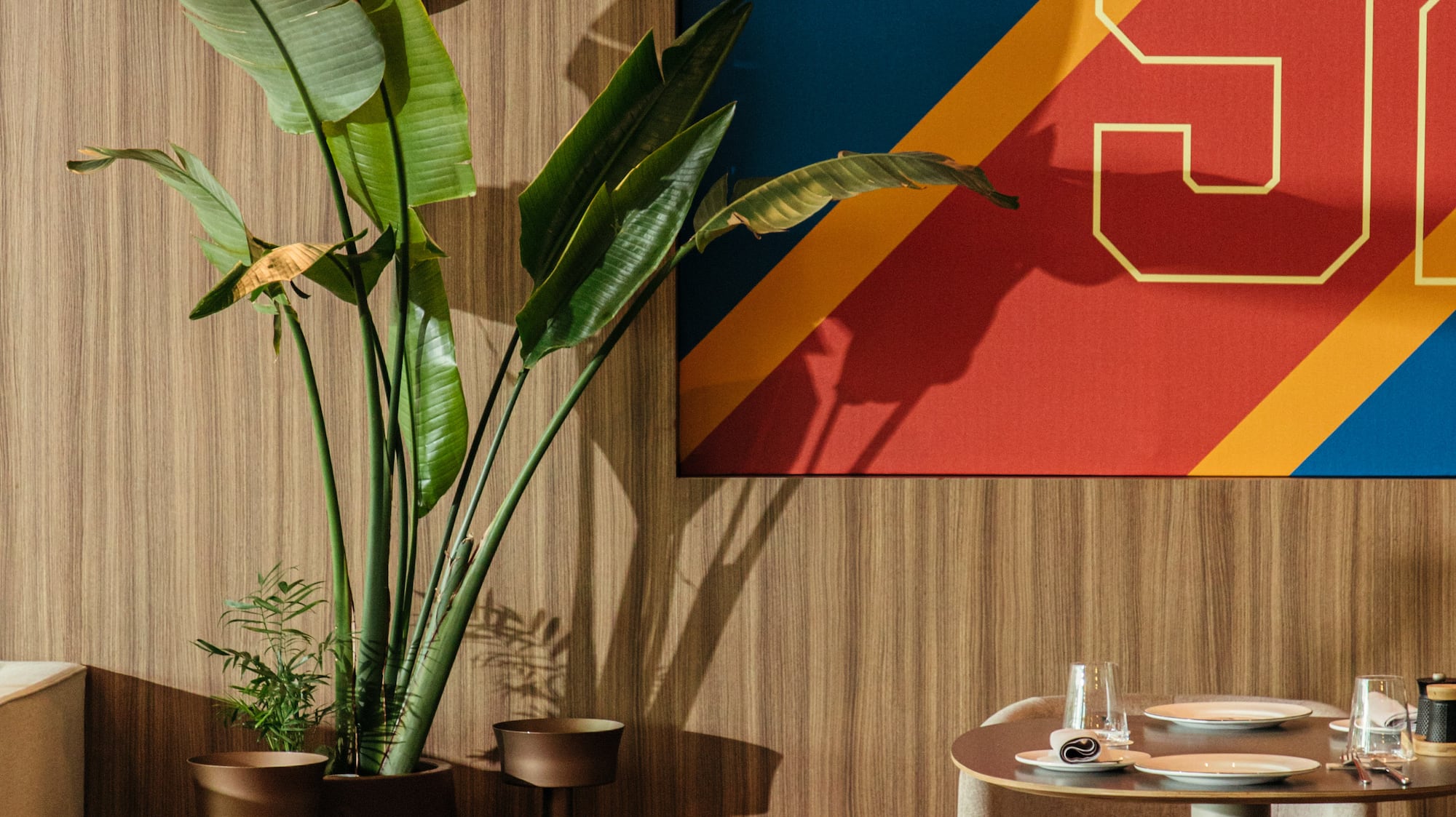 a table with chairs and a plant in it