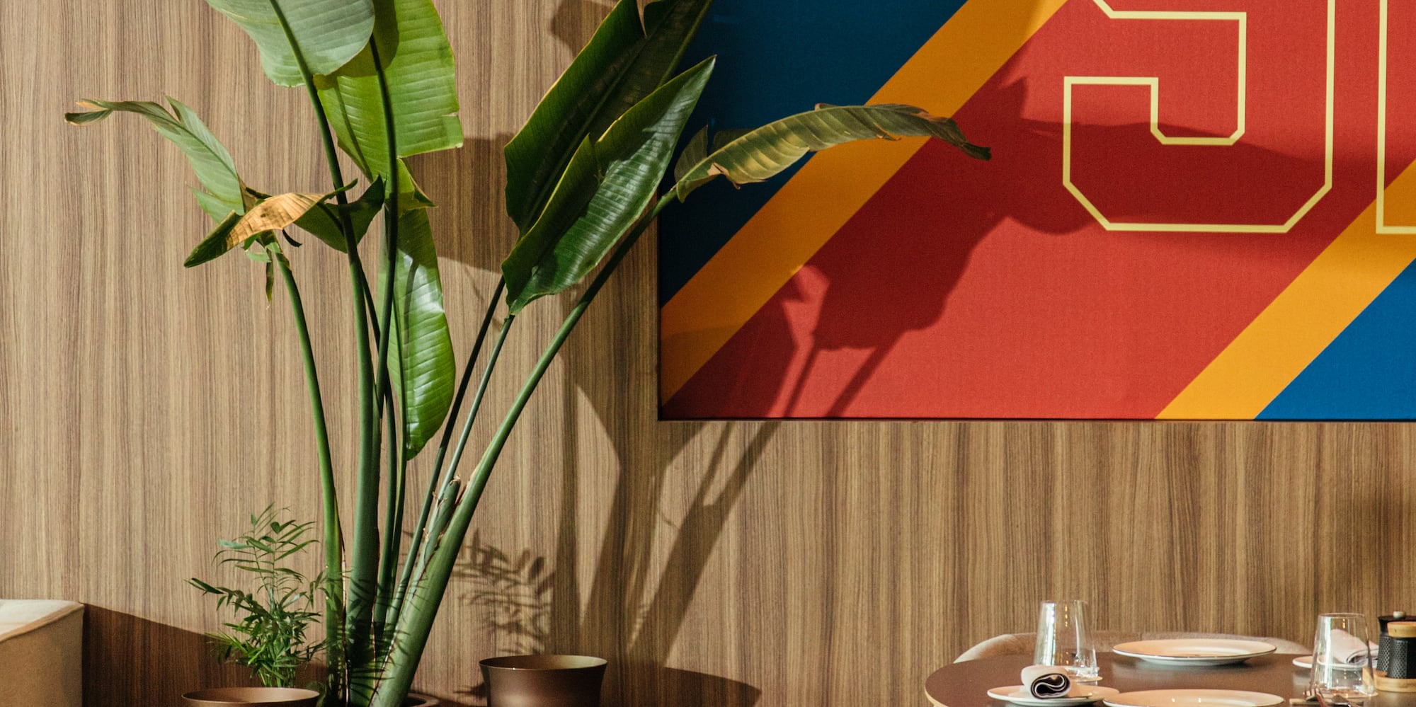 a table with chairs and a plant in it