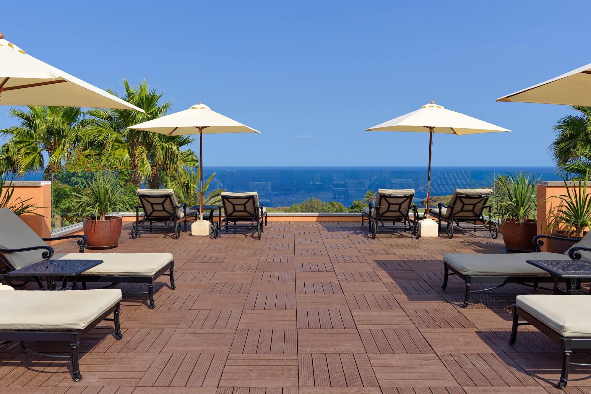 Rooftop patio with ocean view, lounge chairs, umbrellas, and palm trees.