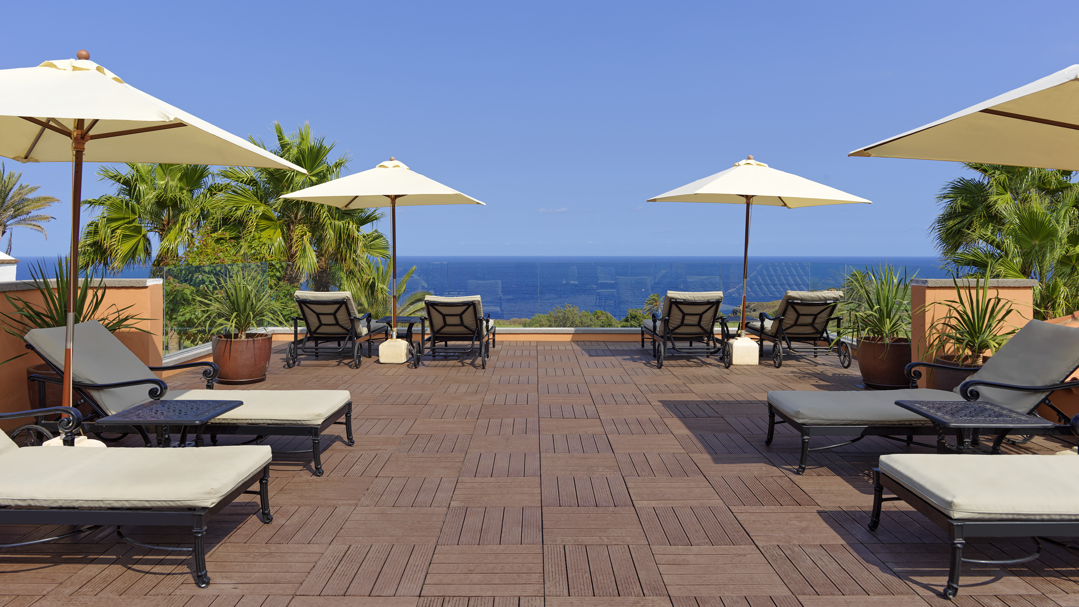 Rooftop patio with ocean view, lounge chairs, umbrellas, and palm trees.