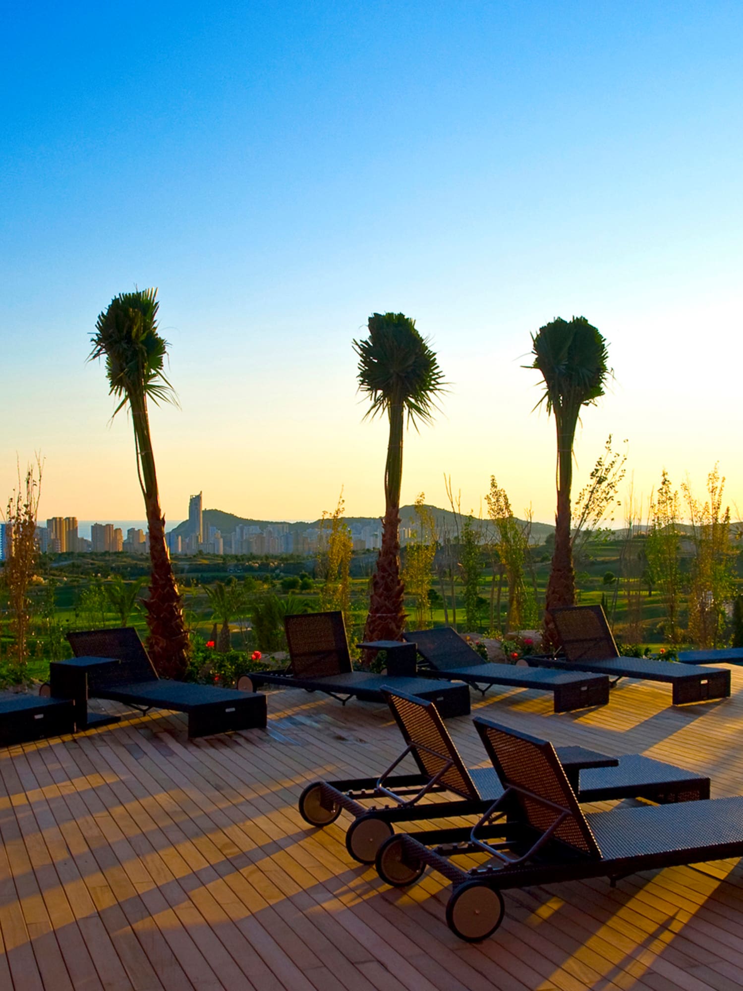 a deck with lounge chairs and palm trees