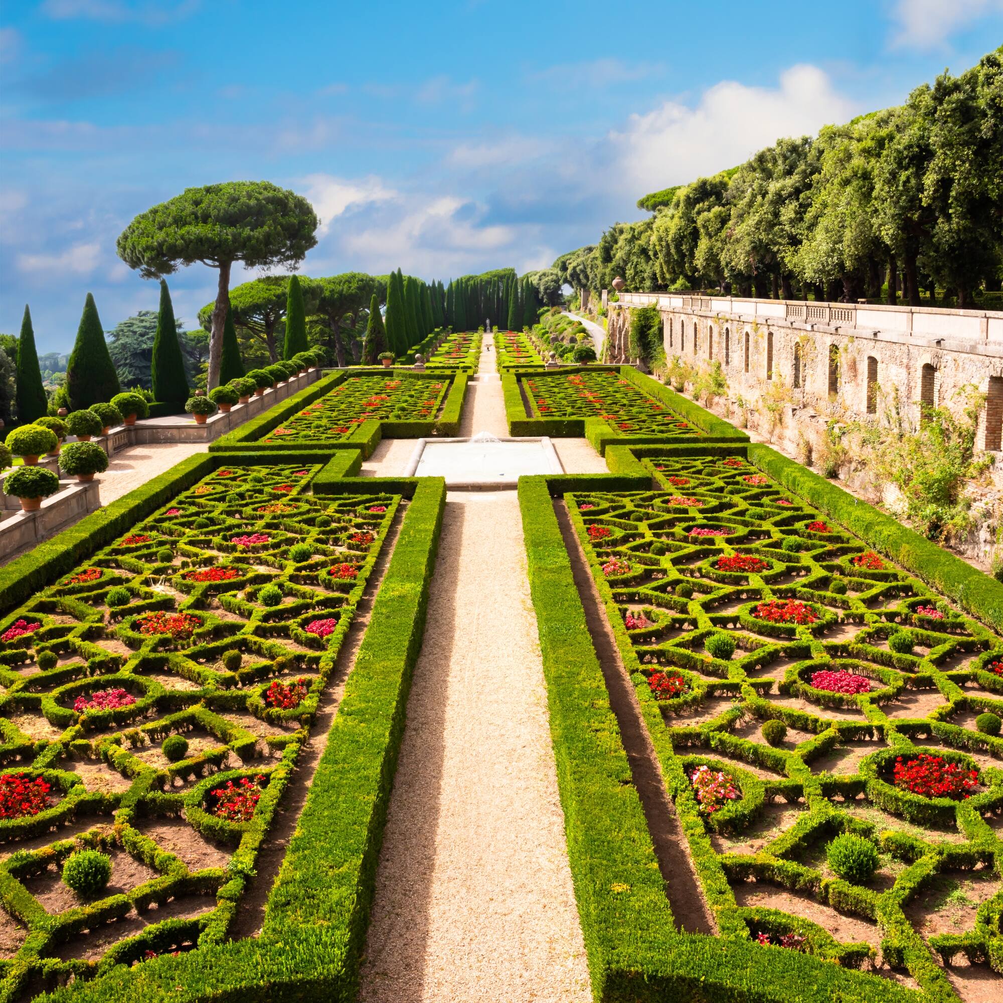 a long path with bushes and trees