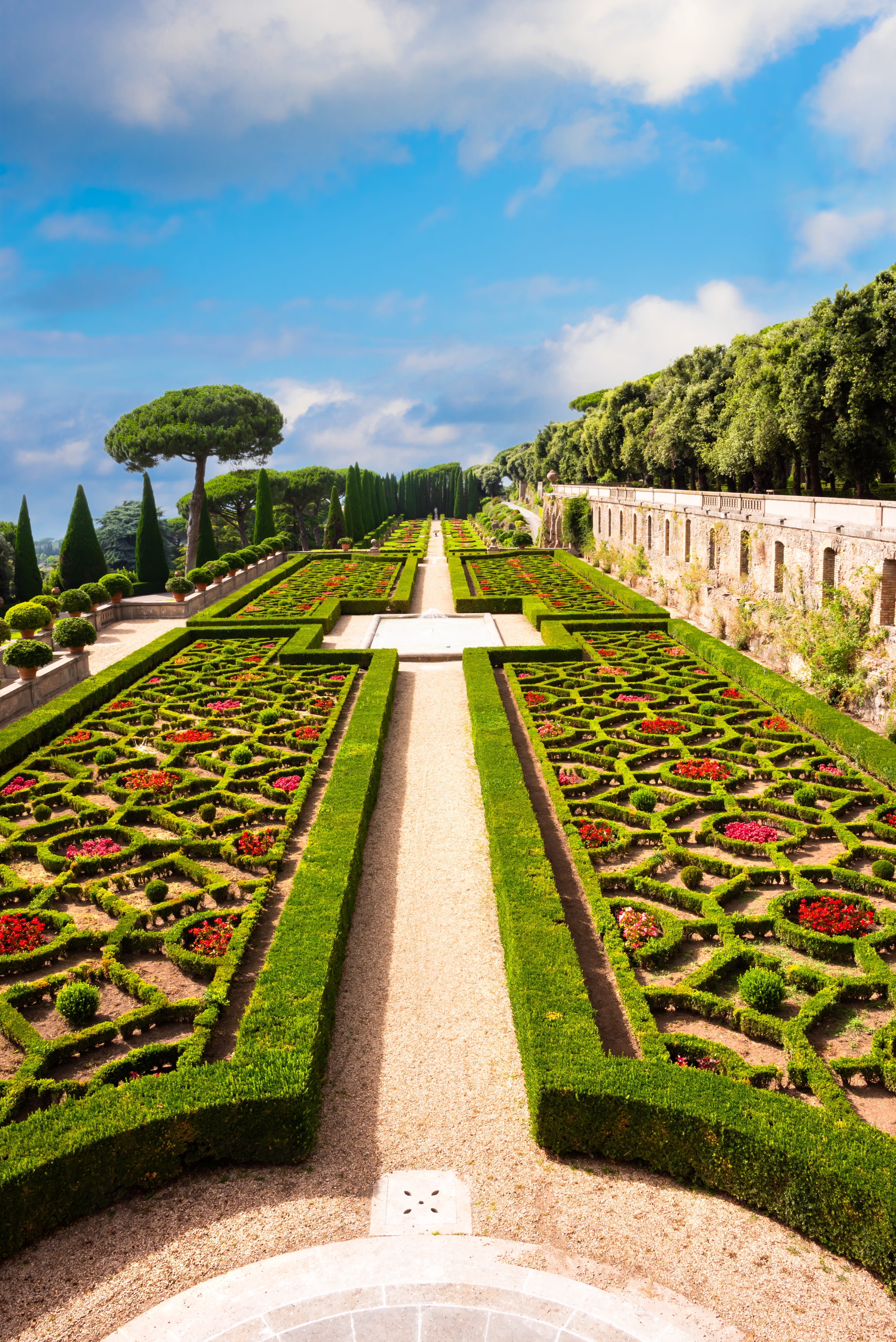 a long path with bushes and trees