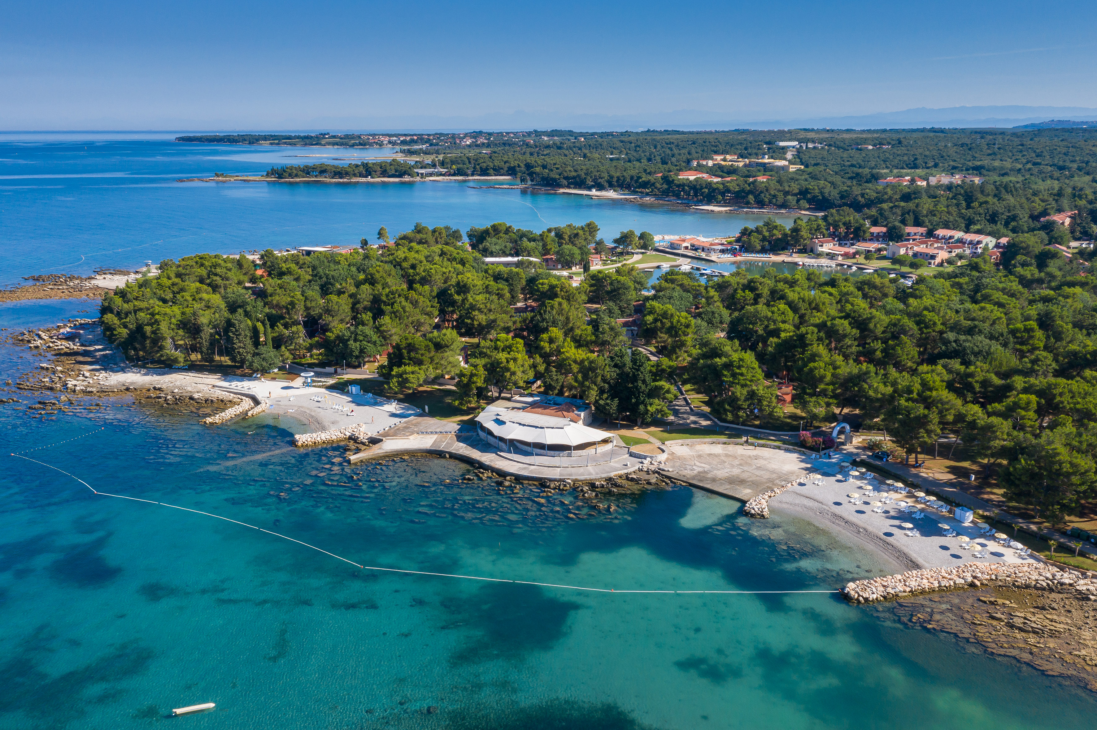 an aerial view of a beach with trees and water