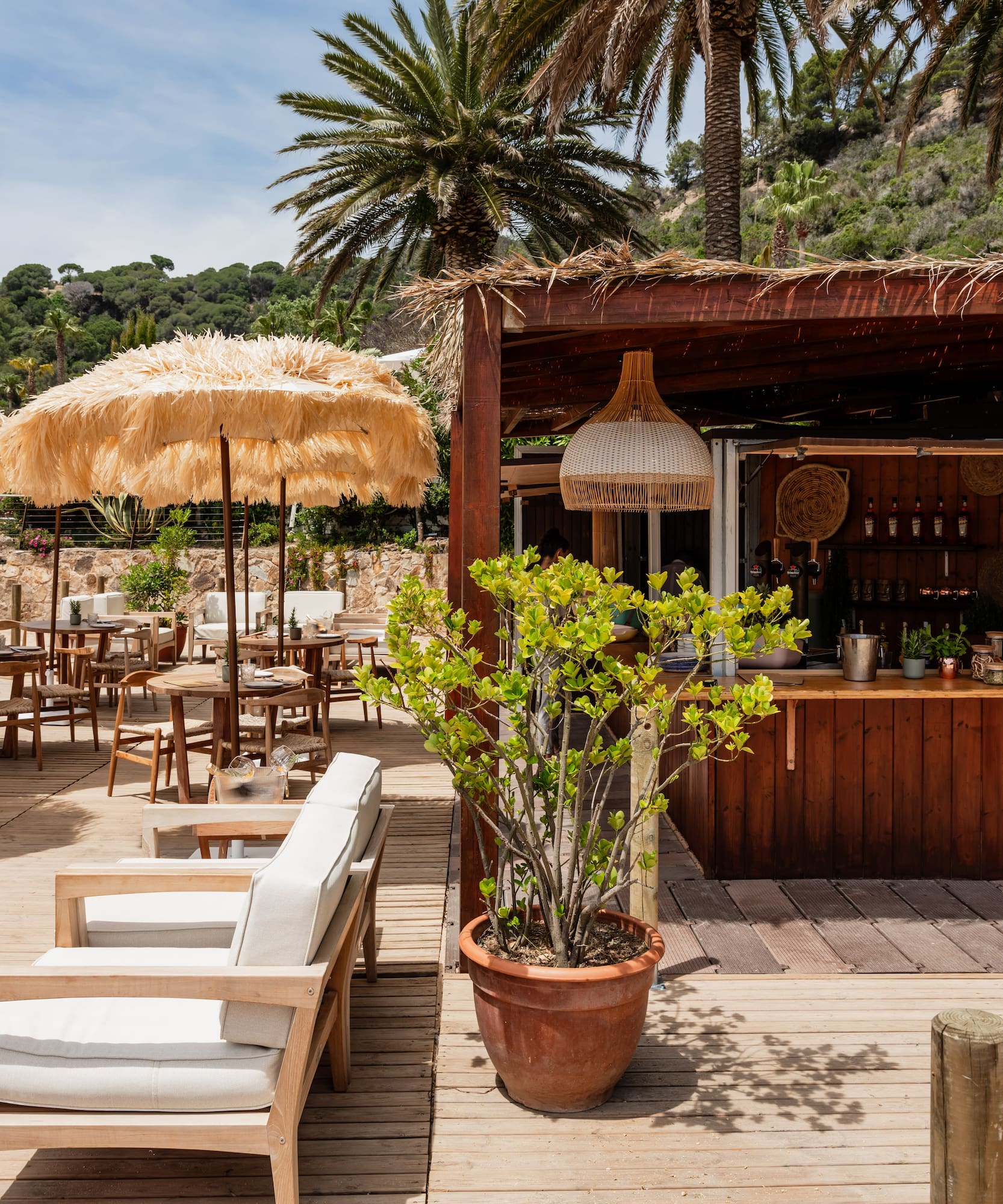 Beachfront bar and restaurant with thatch umbrellas, wooden deck, and palm trees.