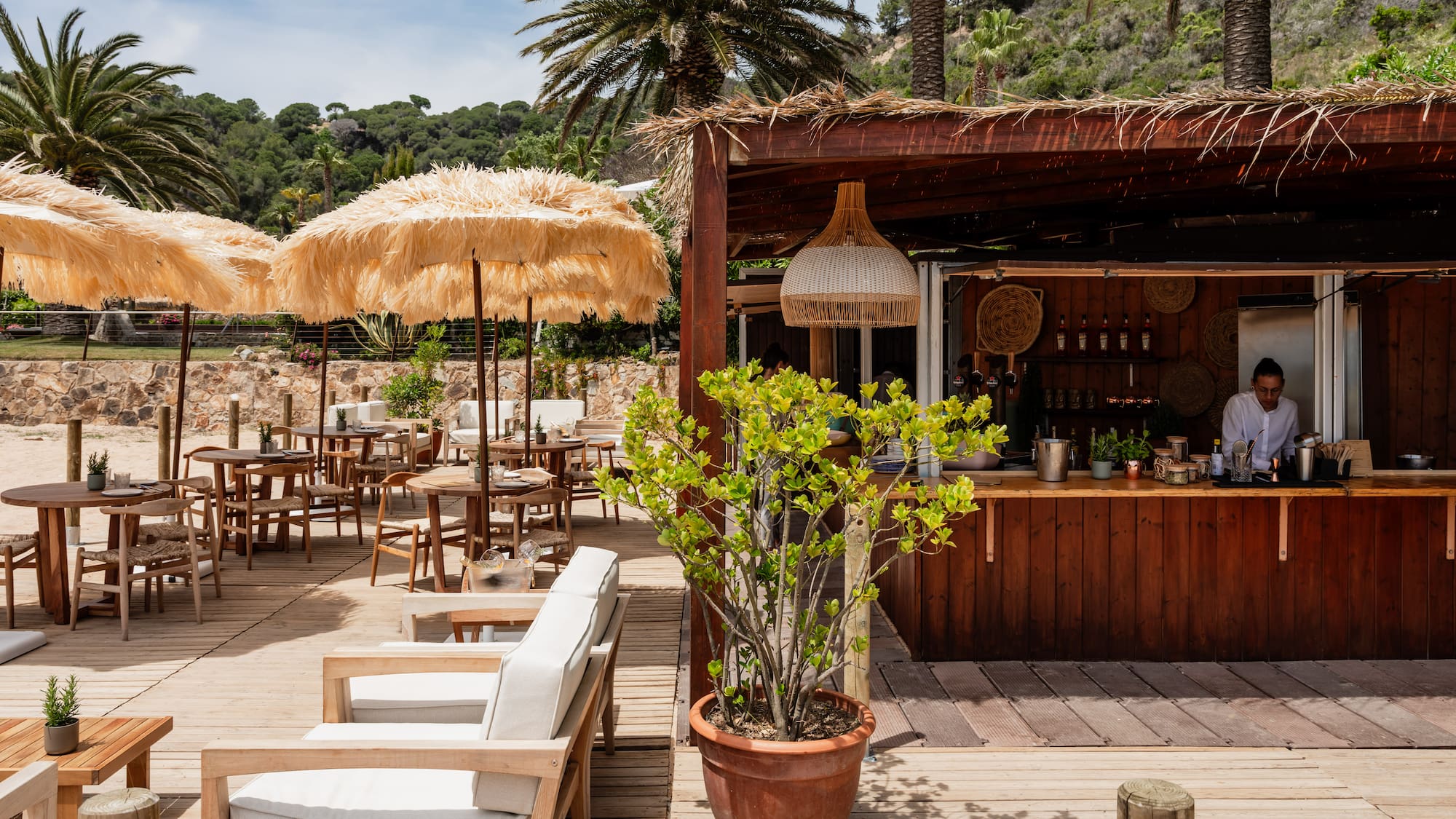 Sunny beachside restaurant with wooden deck, thatch umbrellas, and palm trees.
