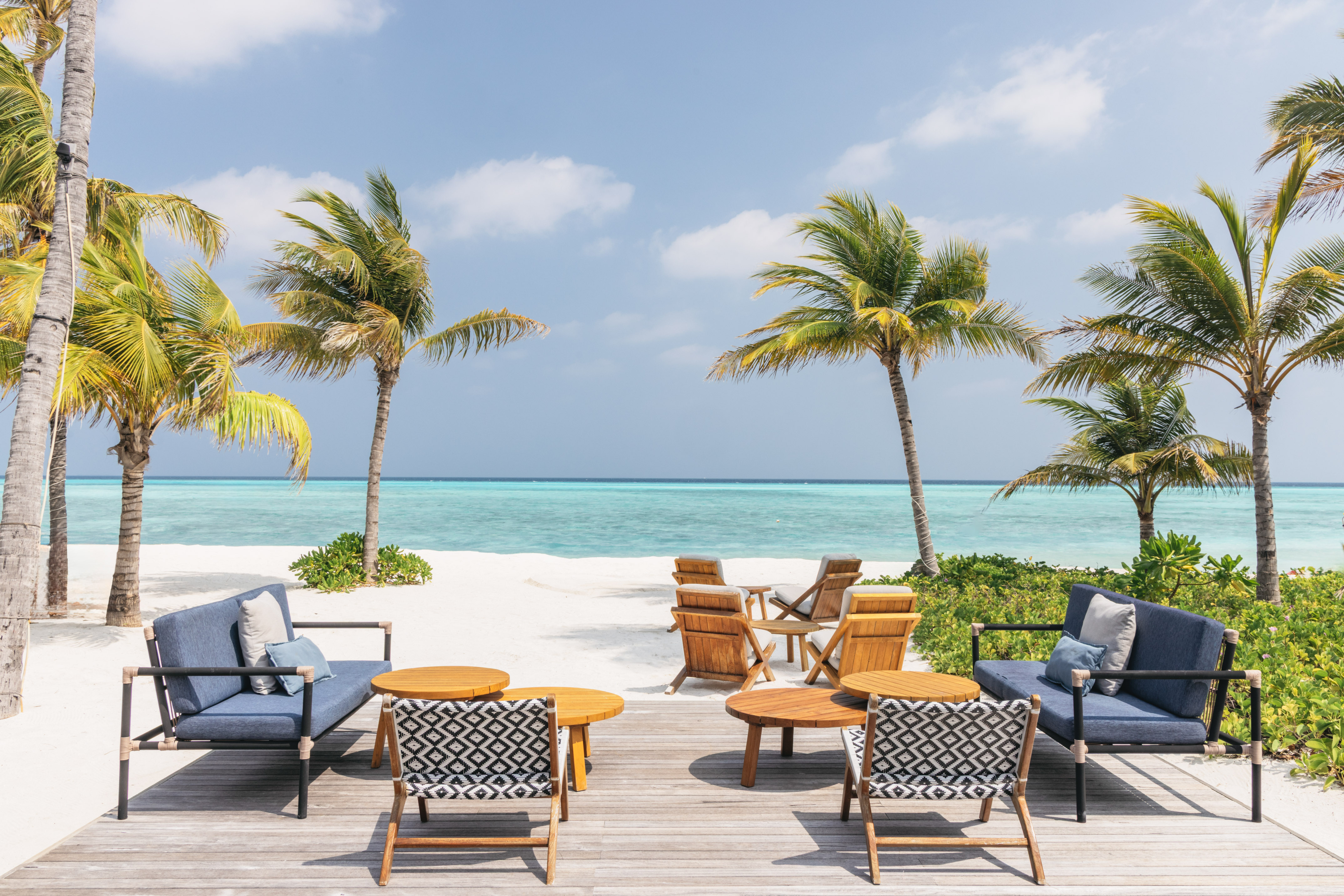 Tropical beach lounge with blue seating, palm trees, and turquoise ocean.