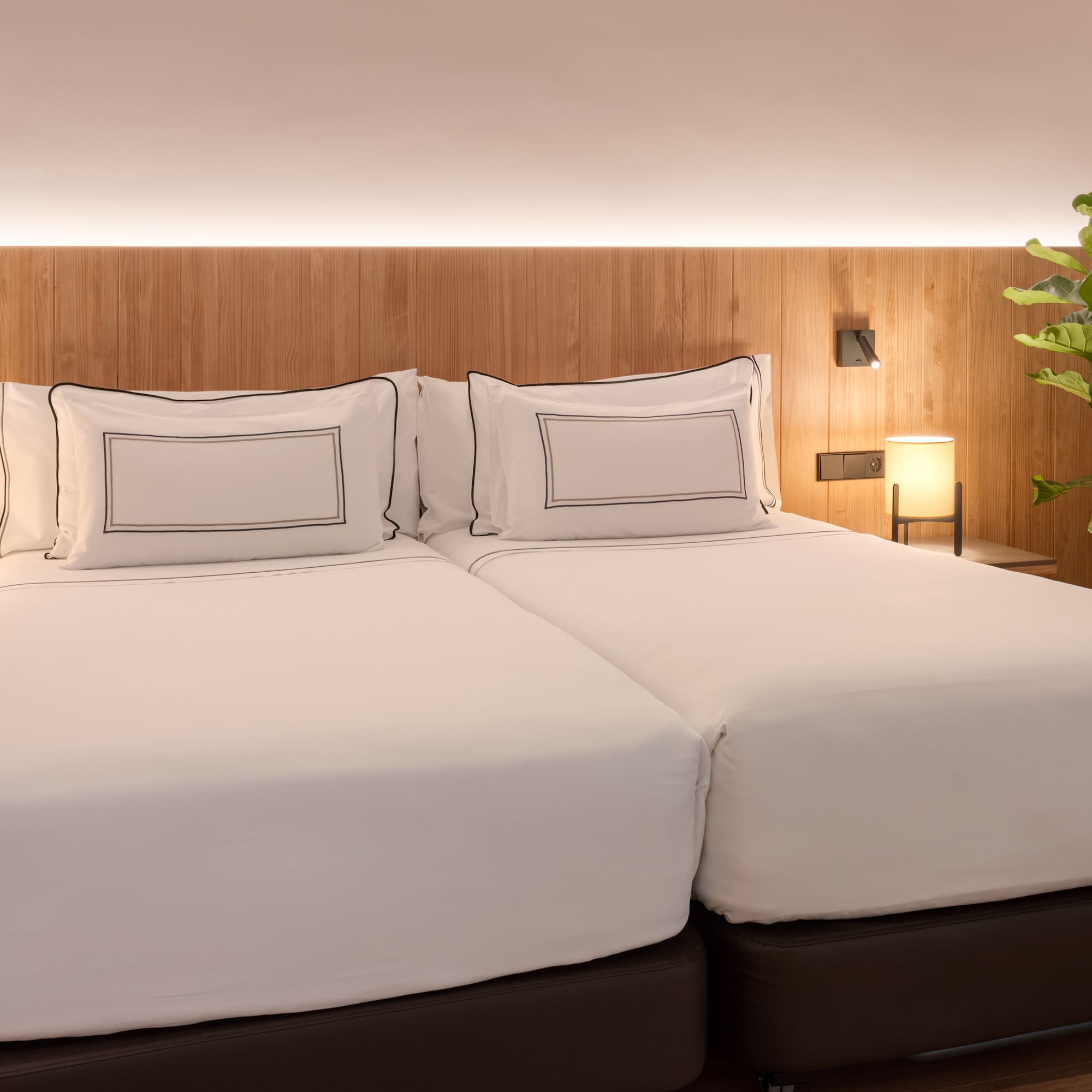 a bed with white sheets and a plant in front of it