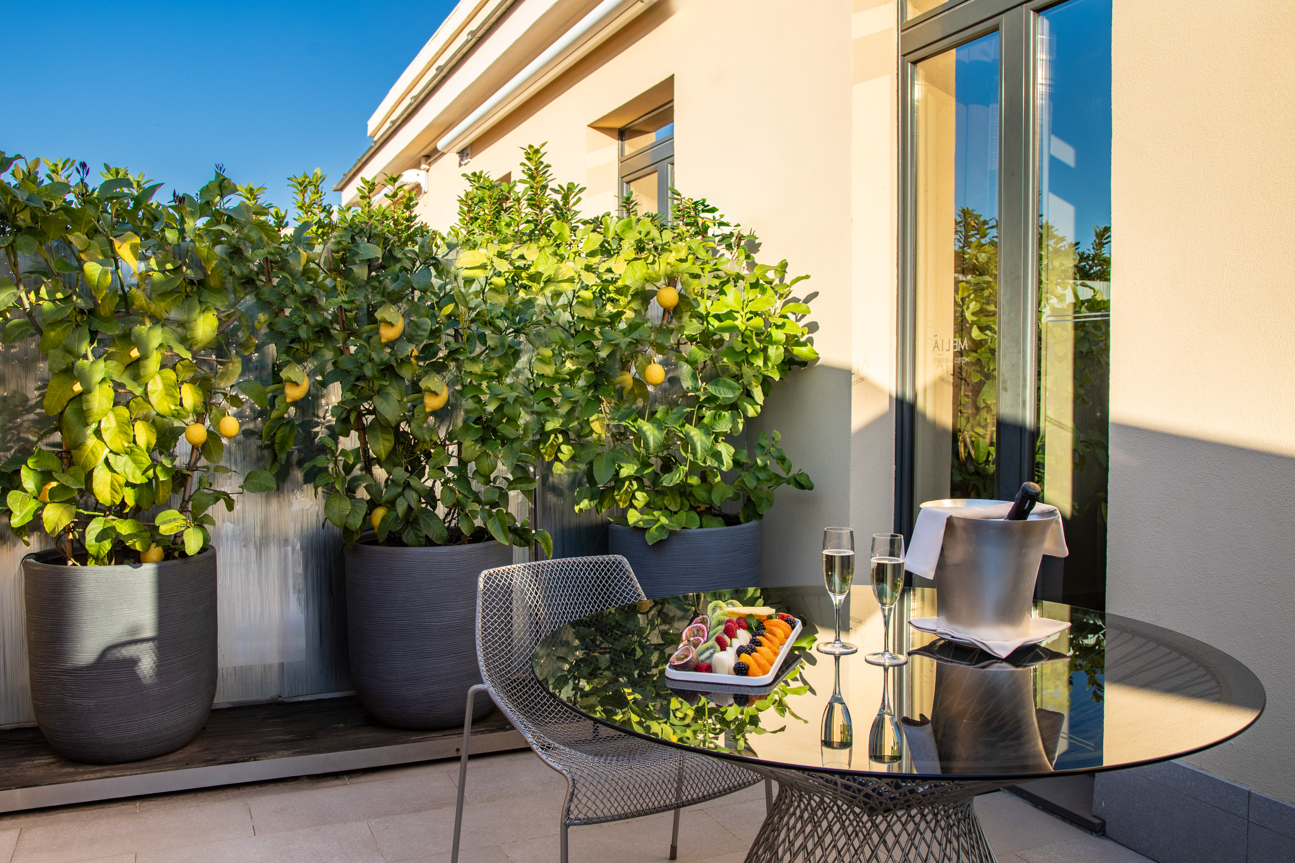 Luxury balcony with lemon trees, champagne, and a tropical fruit platter.