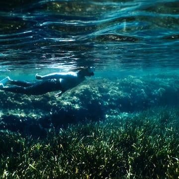 a person swimming under water