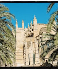 a building with palm trees