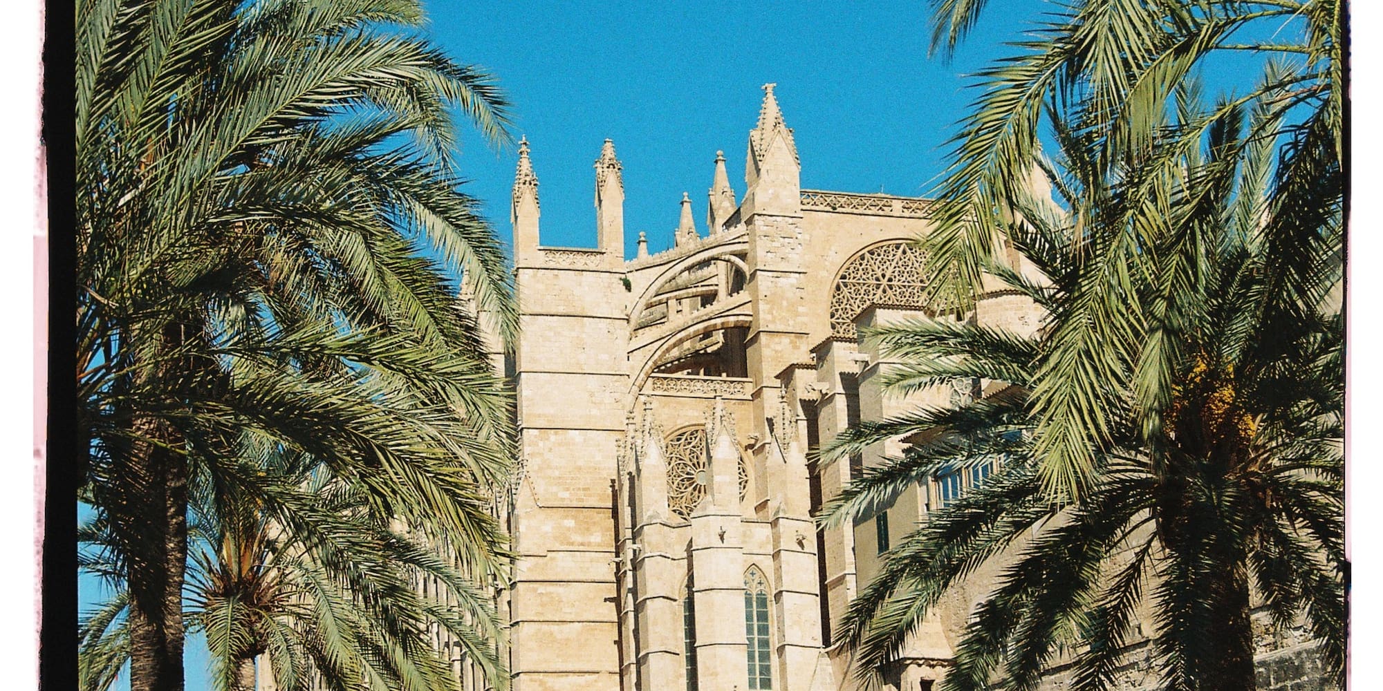 a building with palm trees