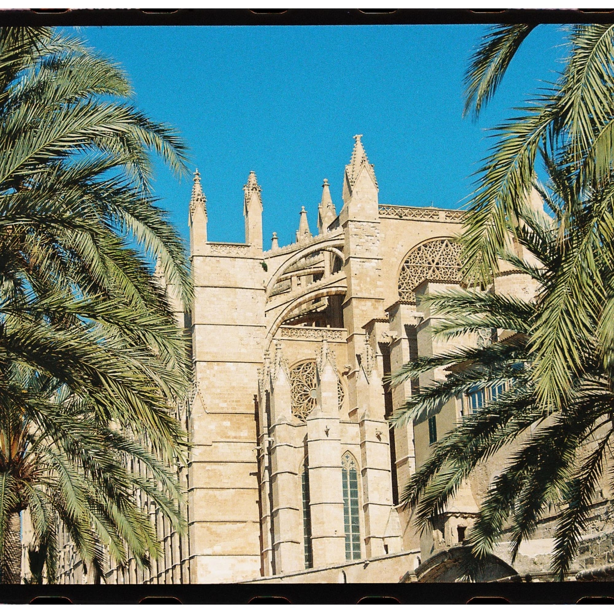 a building with palm trees