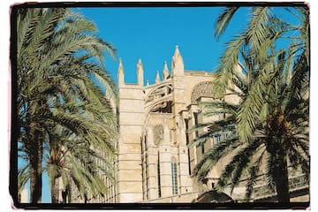 a building with palm trees