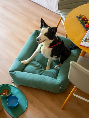 a dog sitting on a dog bed