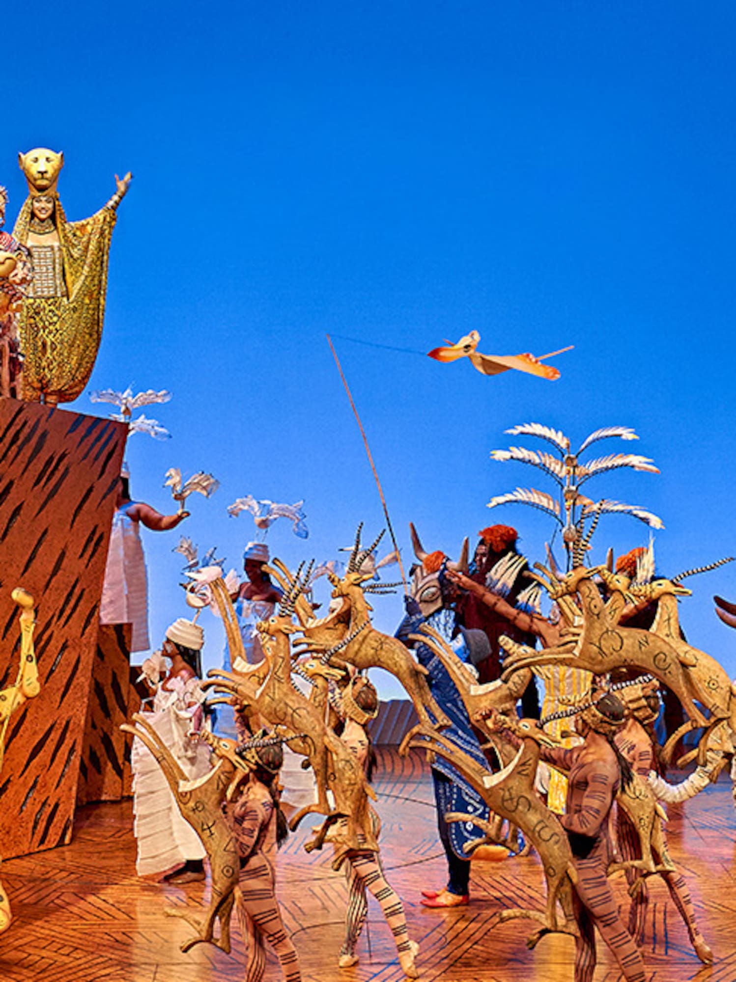 Lion King musical.
