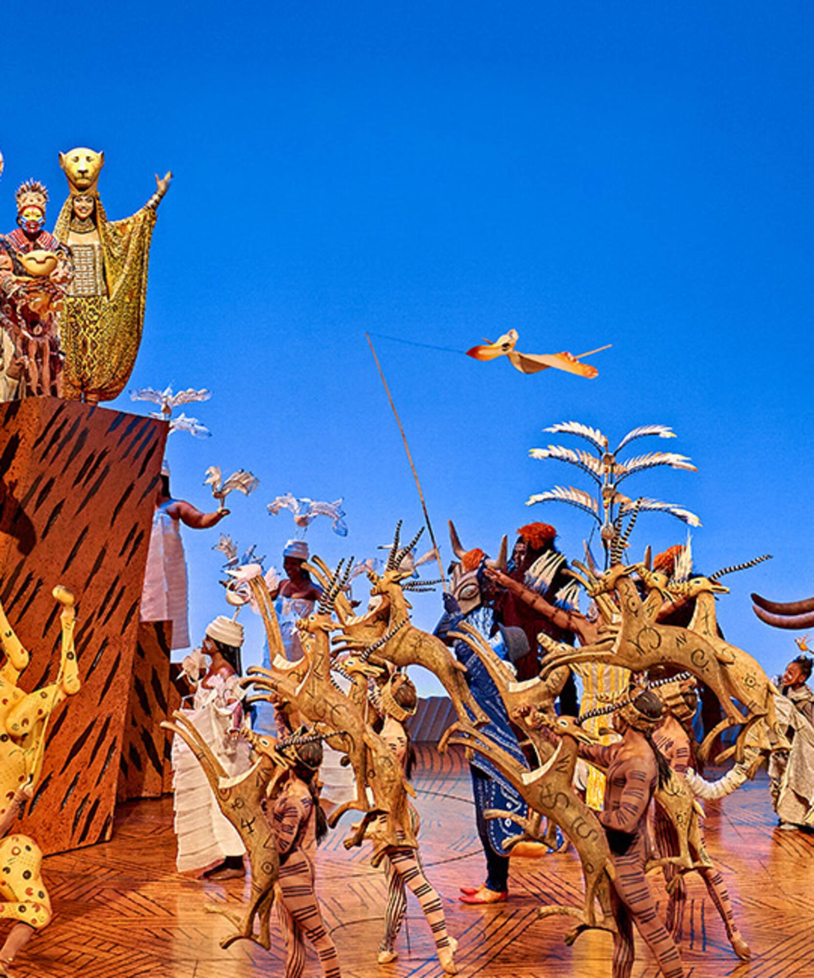 Lion King musical.