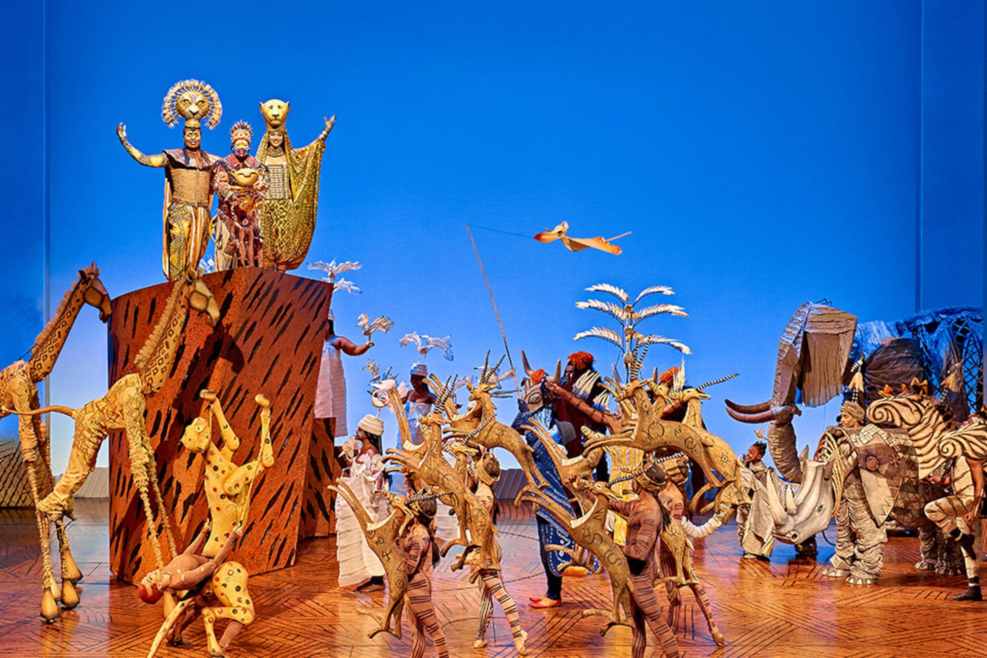 Musical del Rey León.