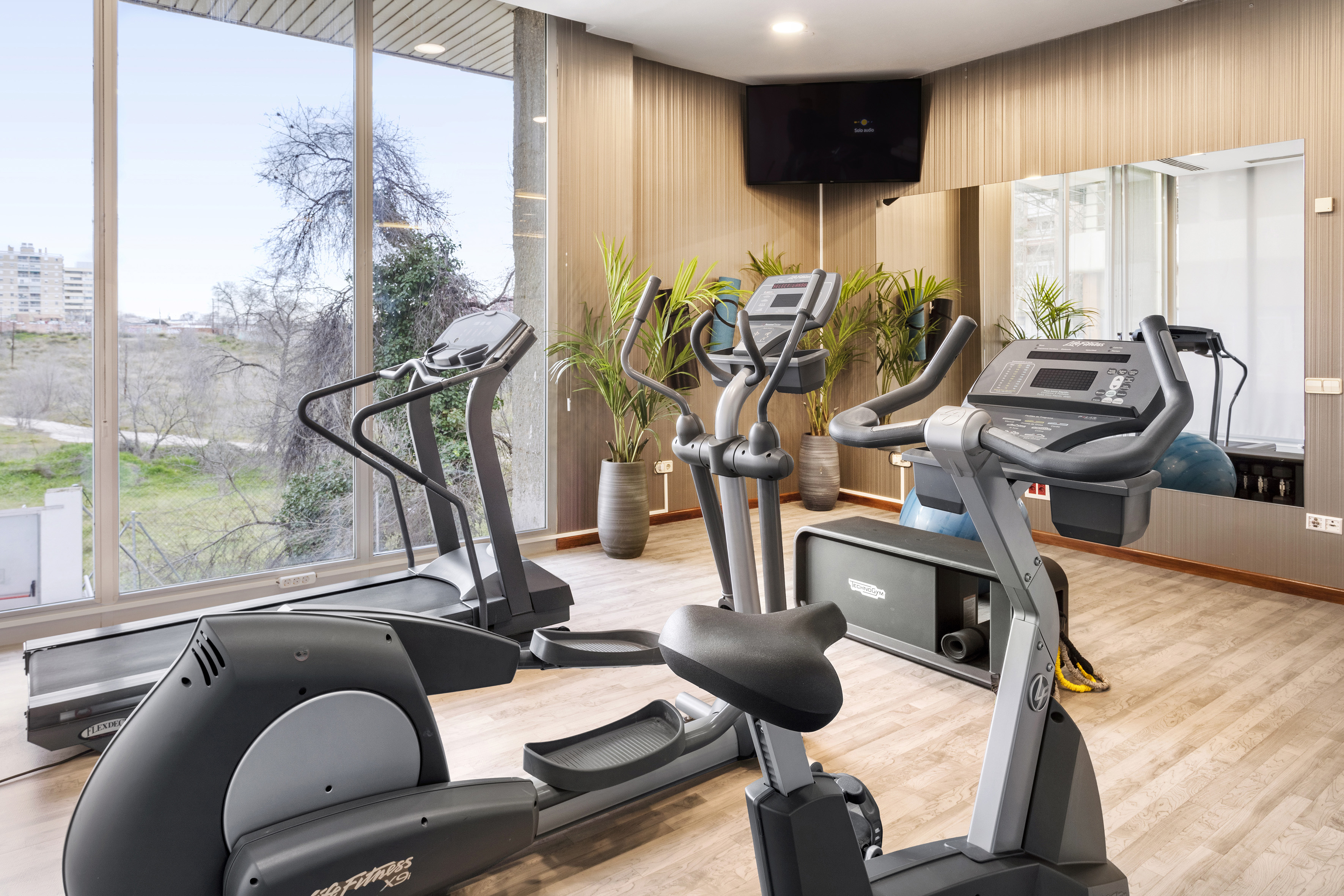 Modern gym with cardio machines, large windows, and plants.