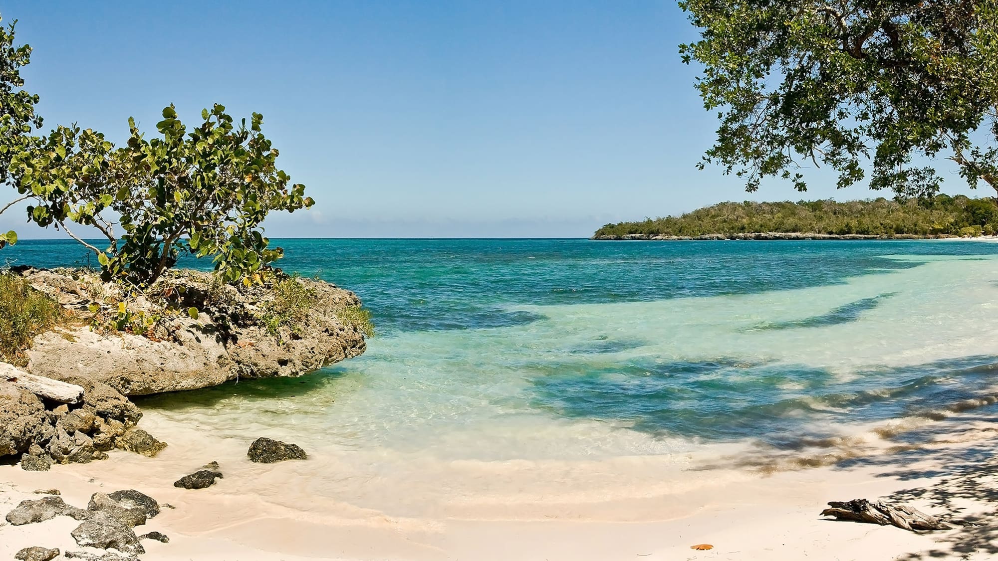 a beach with a rock and trees