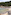 Rustic boat sheds, dogs on beach by clear water, and green forested hills.