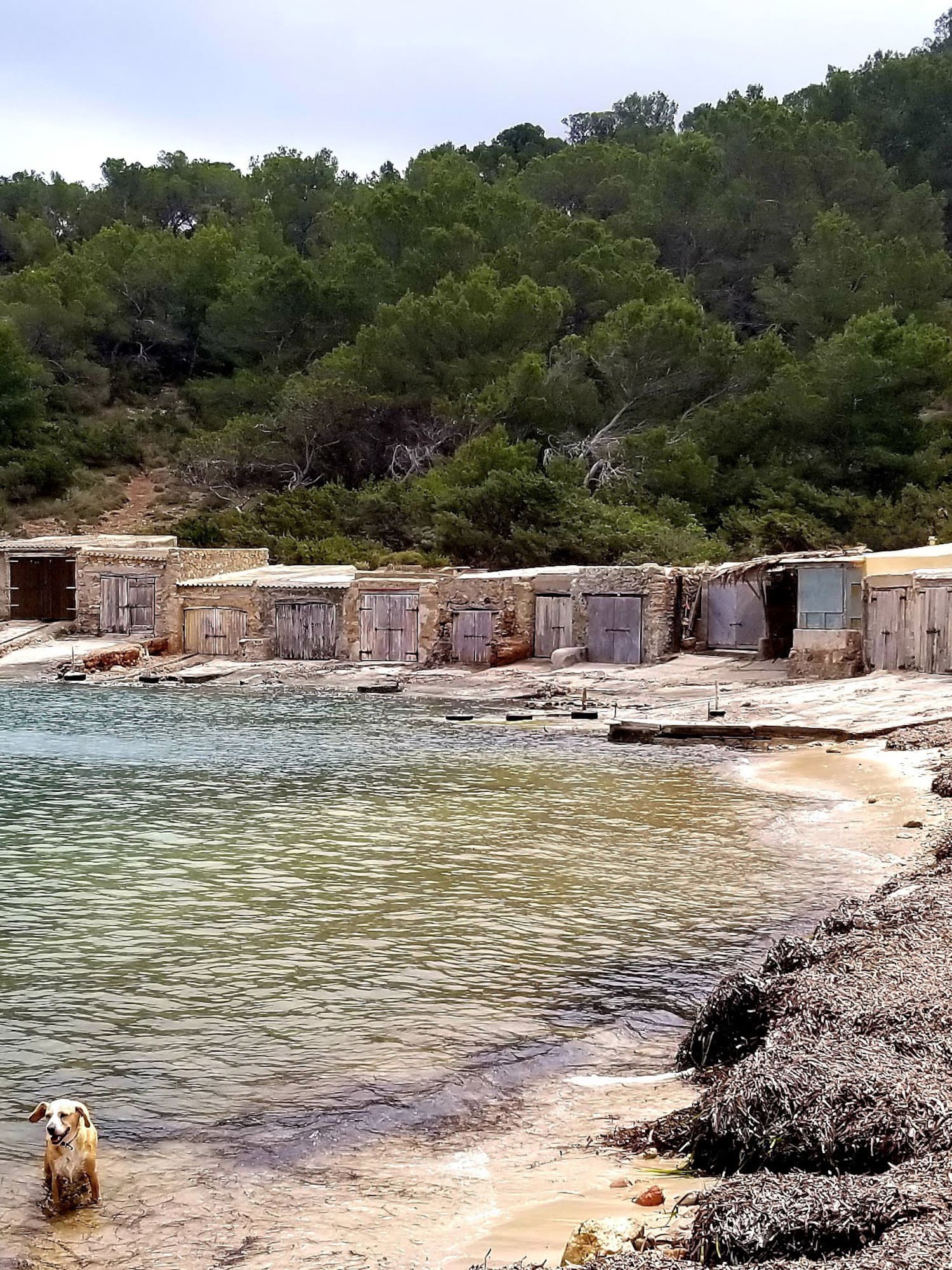 Rustic boat sheds, dogs on beach by clear water, and green forested hills.