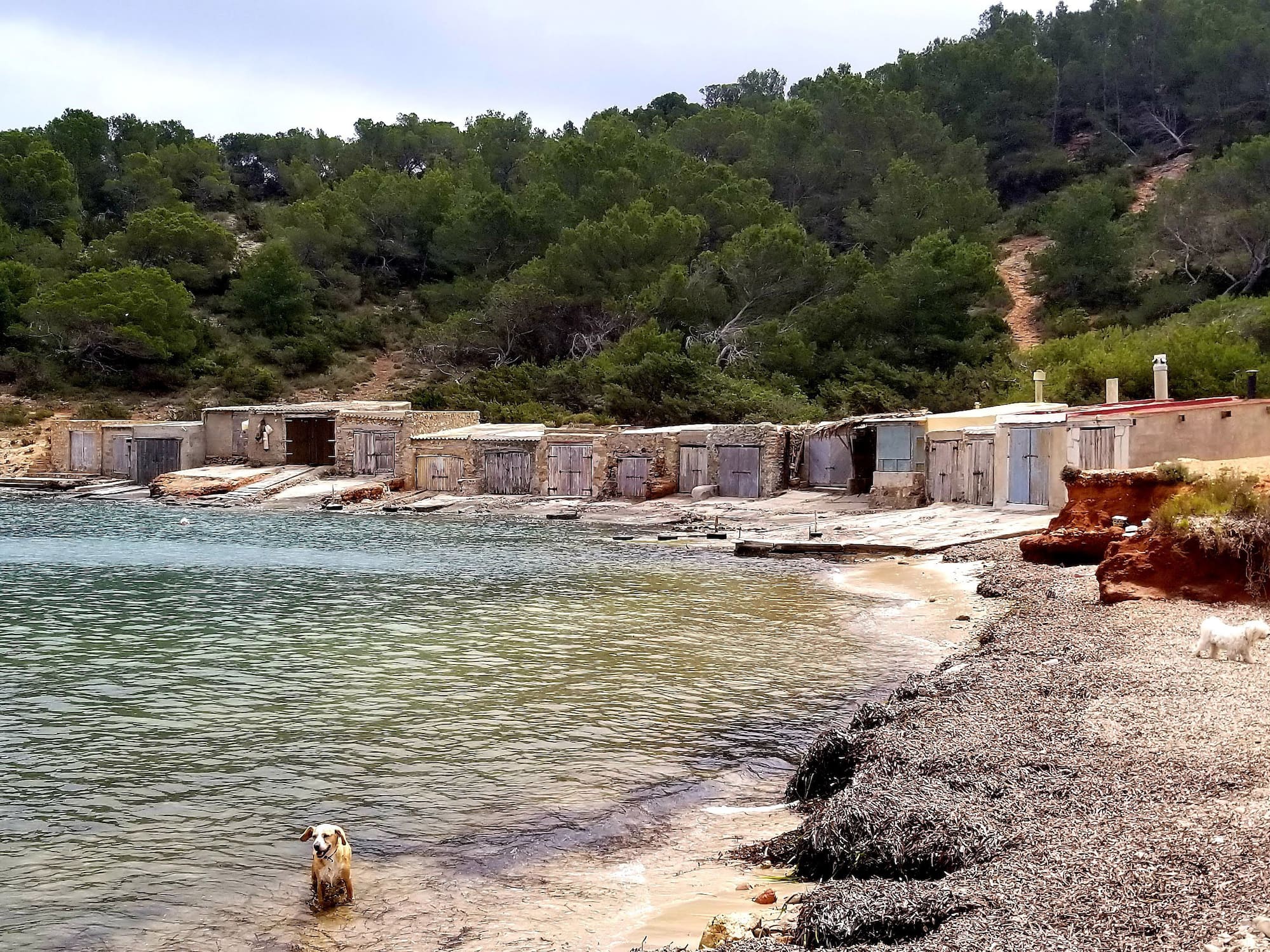 Rustic boat sheds, dogs on beach by clear water, and green forested hills.