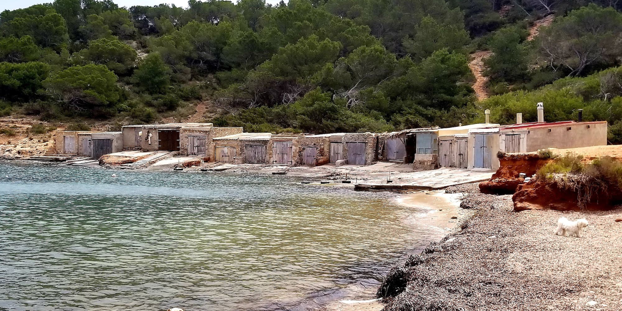 Rustic boat sheds, dogs on beach by clear water, and green forested hills.