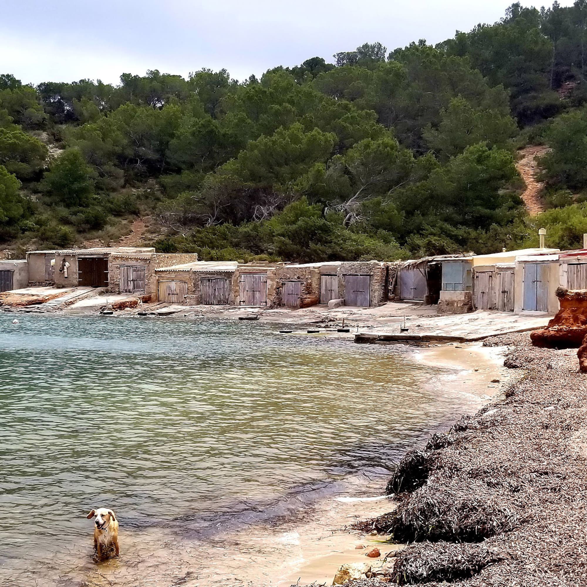 Rustic boat sheds, dogs on beach by clear water, and green forested hills.