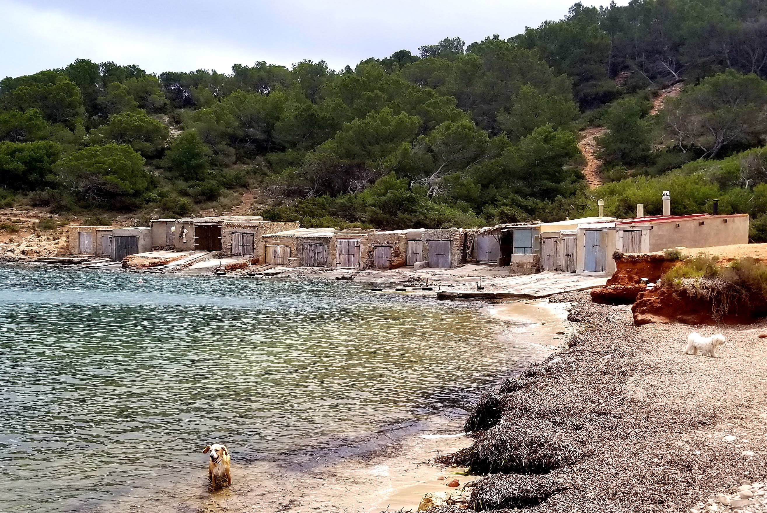 Rustic boat sheds, dogs on beach by clear water, and green forested hills.