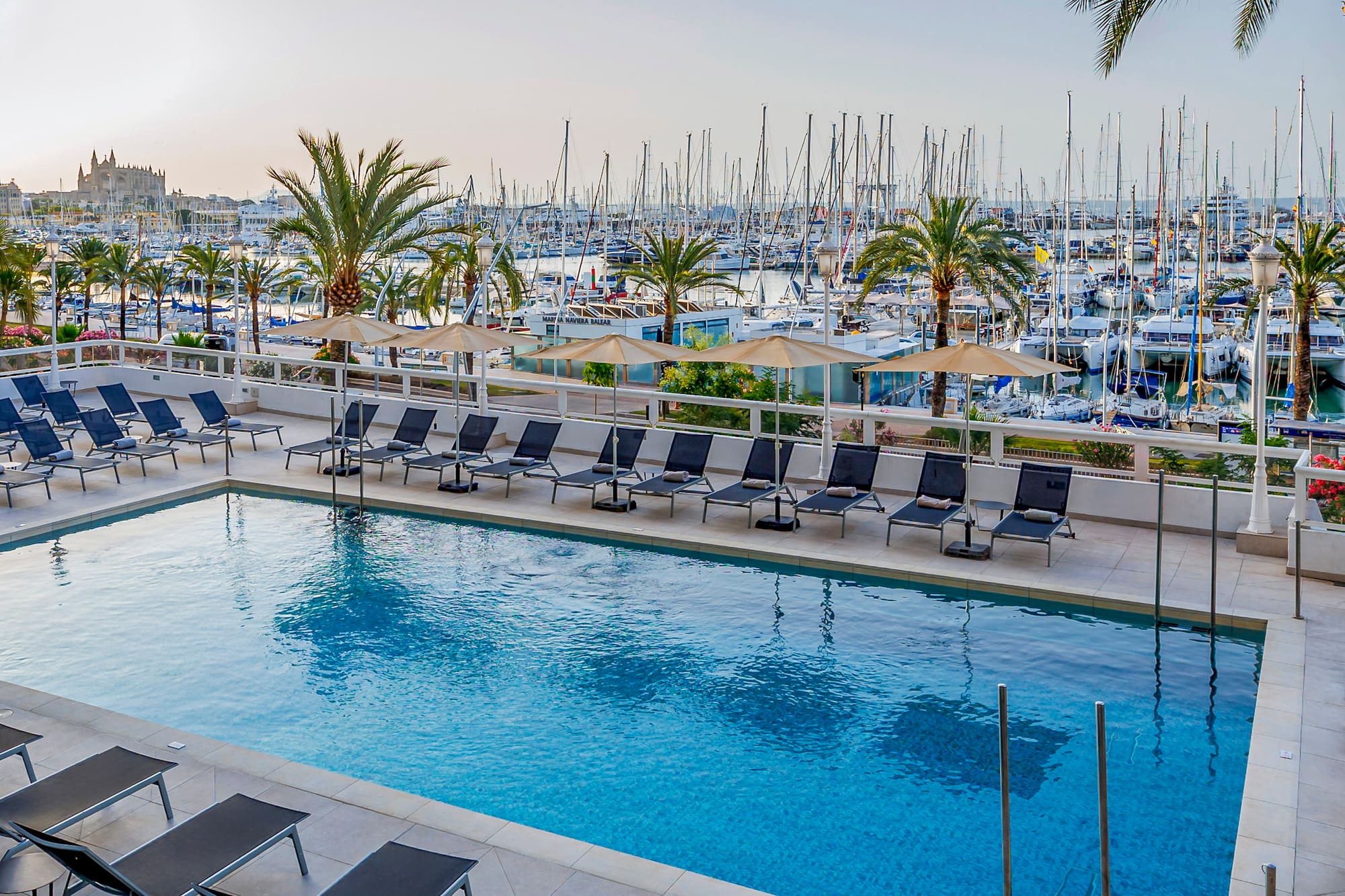 Hotel pool, sun loungers, palm trees, and yacht marina with Palma Cathedral.
