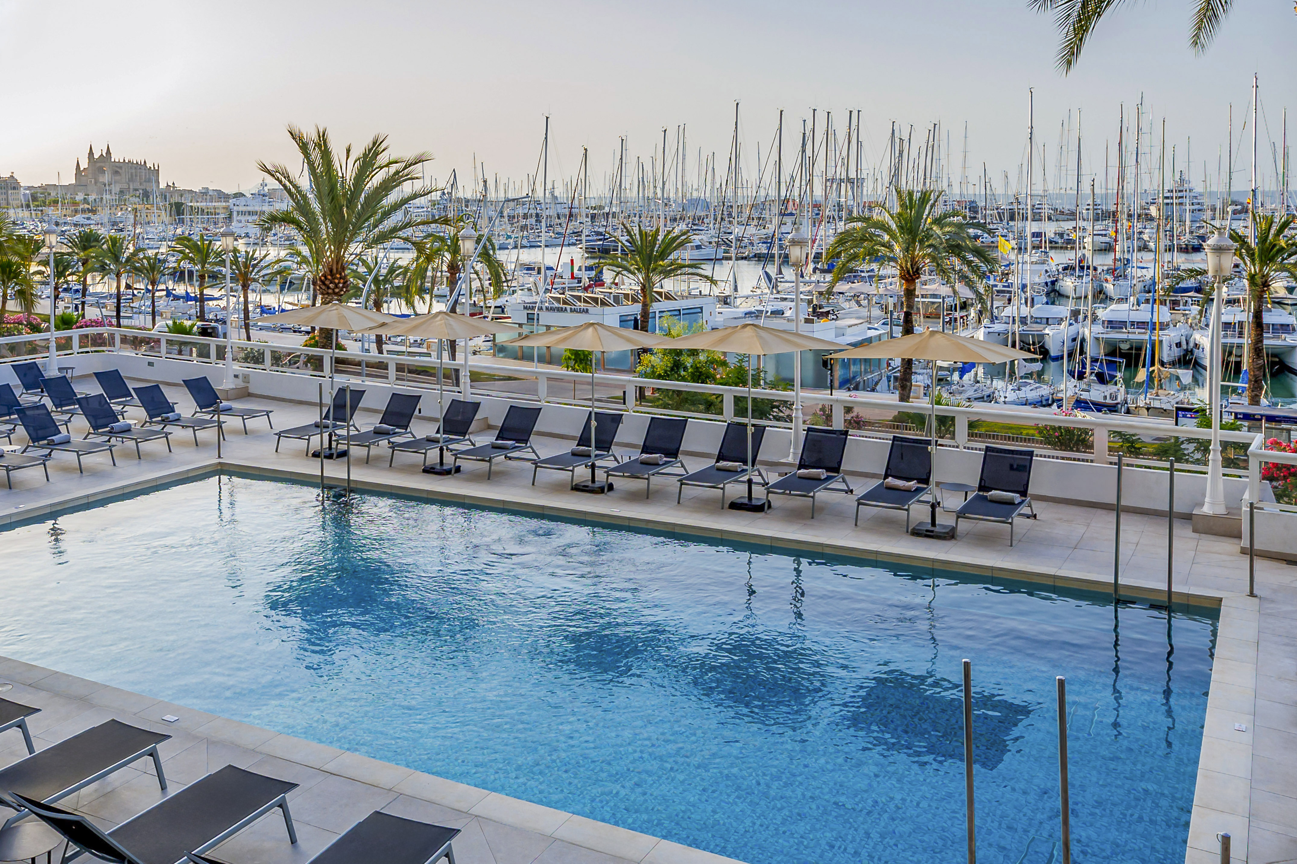 Hotel pool, sun loungers, palm trees, and yacht marina with Palma Cathedral.