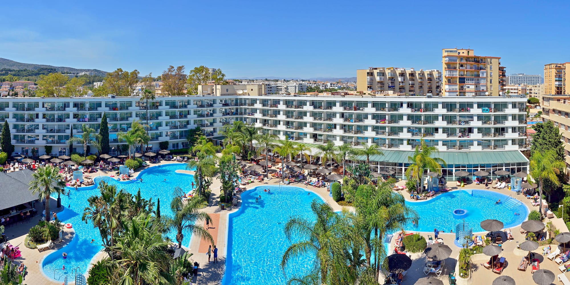a swimming pool with palm trees and a building