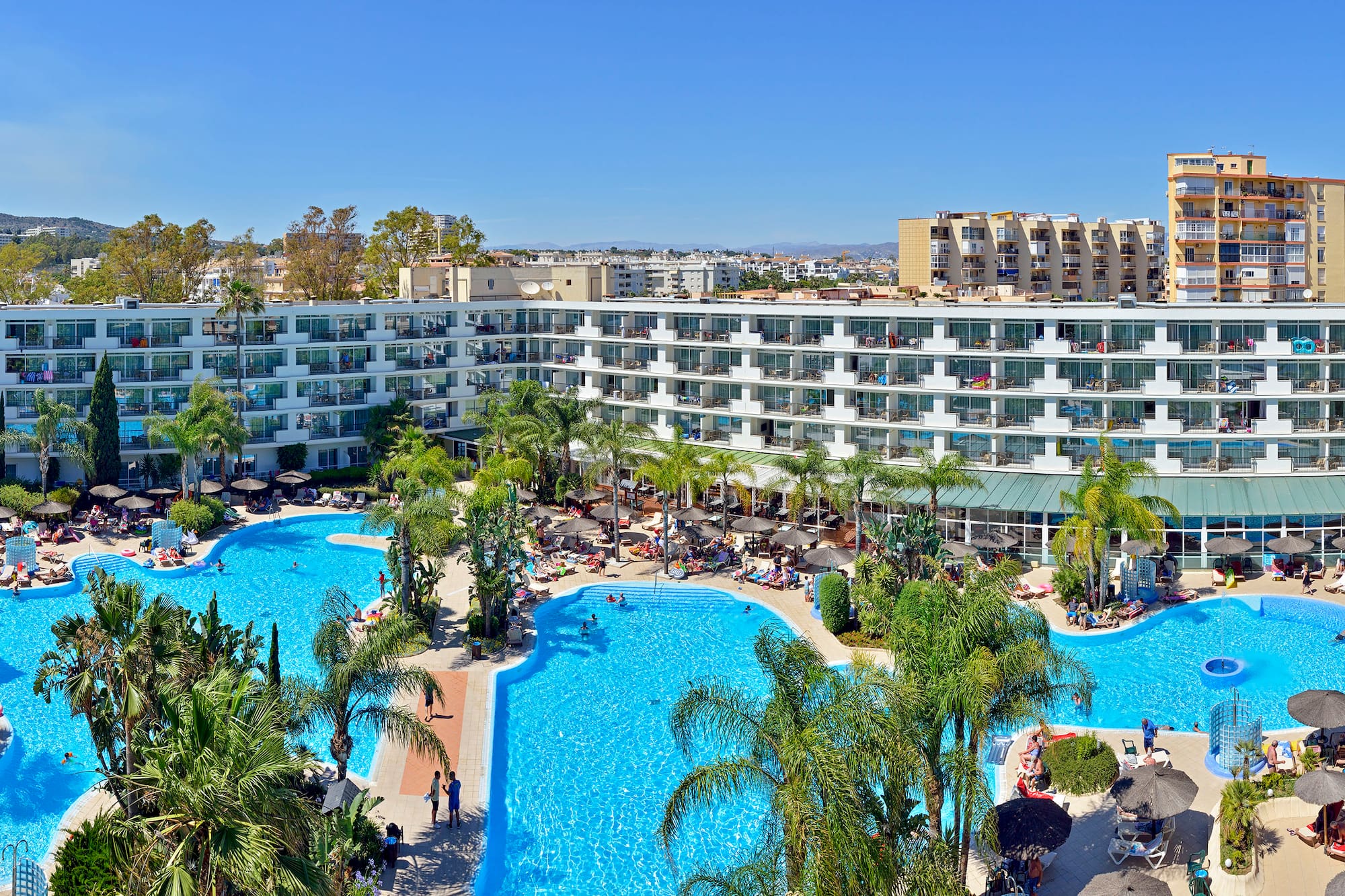a swimming pool with palm trees and a building
