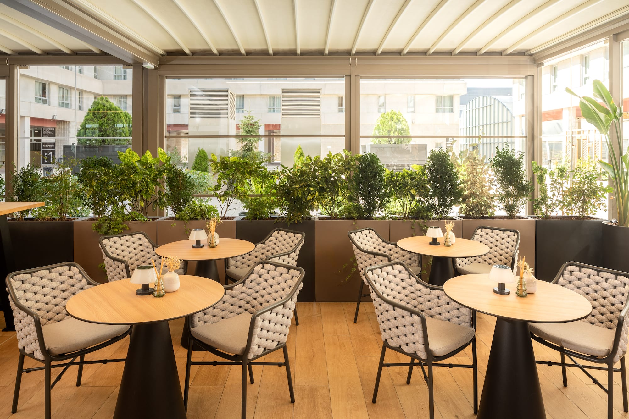 Bright outdoor cafe terrace with modern seating and abundant green plants.